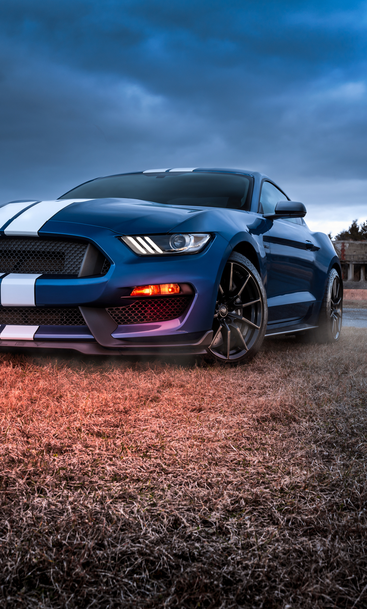 Download wallpaper 1280x2120 ford mustang, shelby gt500, muscle car, iphone 6 plus, 1280x2120 HD background, 25953