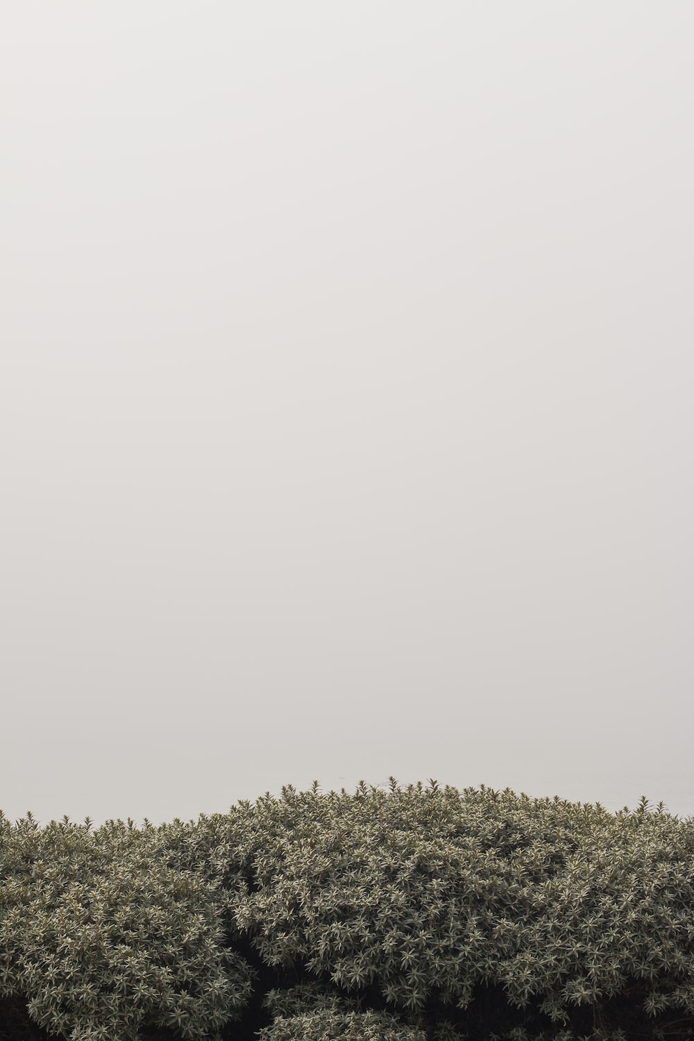 Minimalist iPhone Picture. Download Free Image