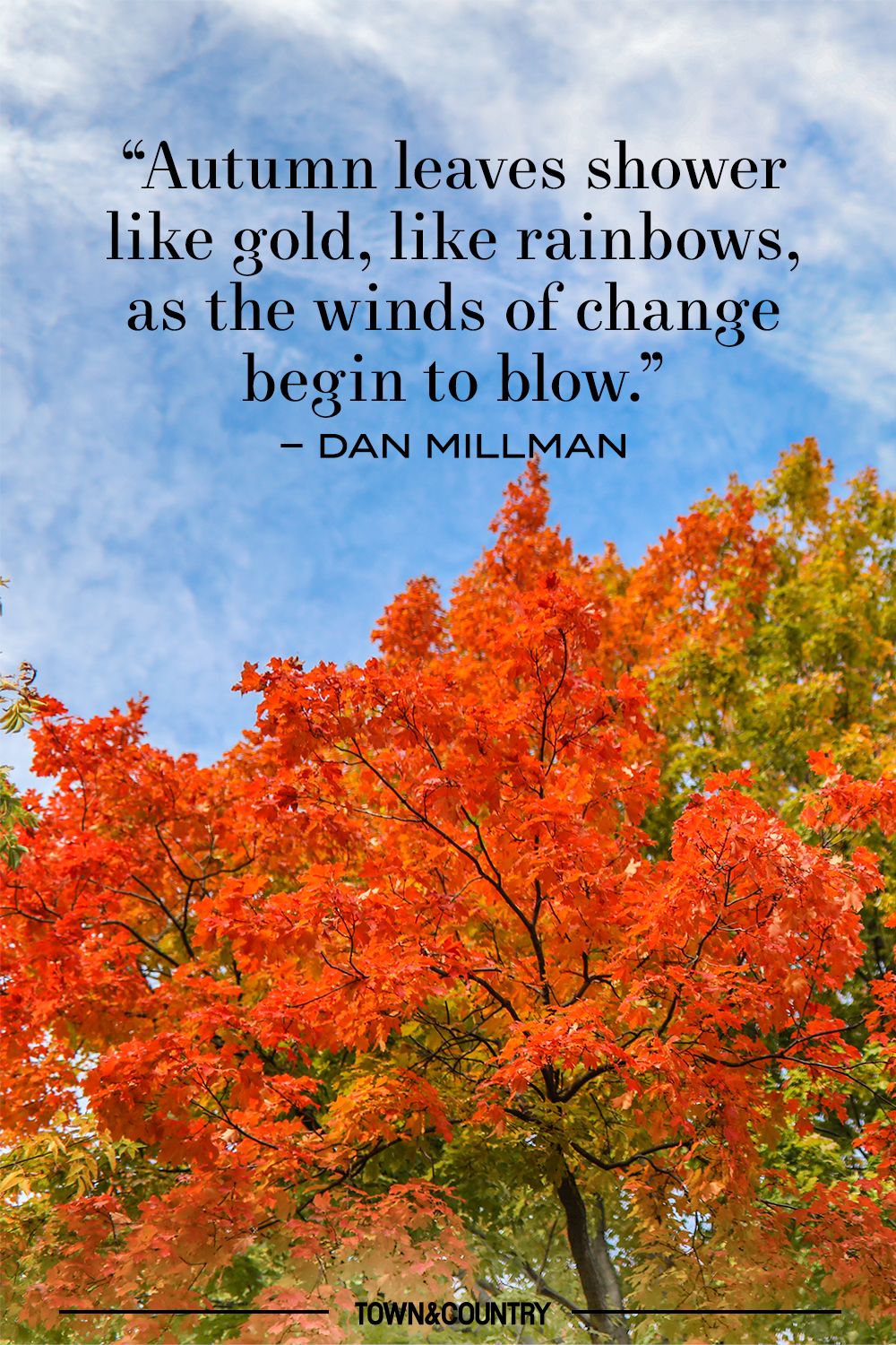 Inspiring Fall Quotes Quotes and Sayings About Autumn