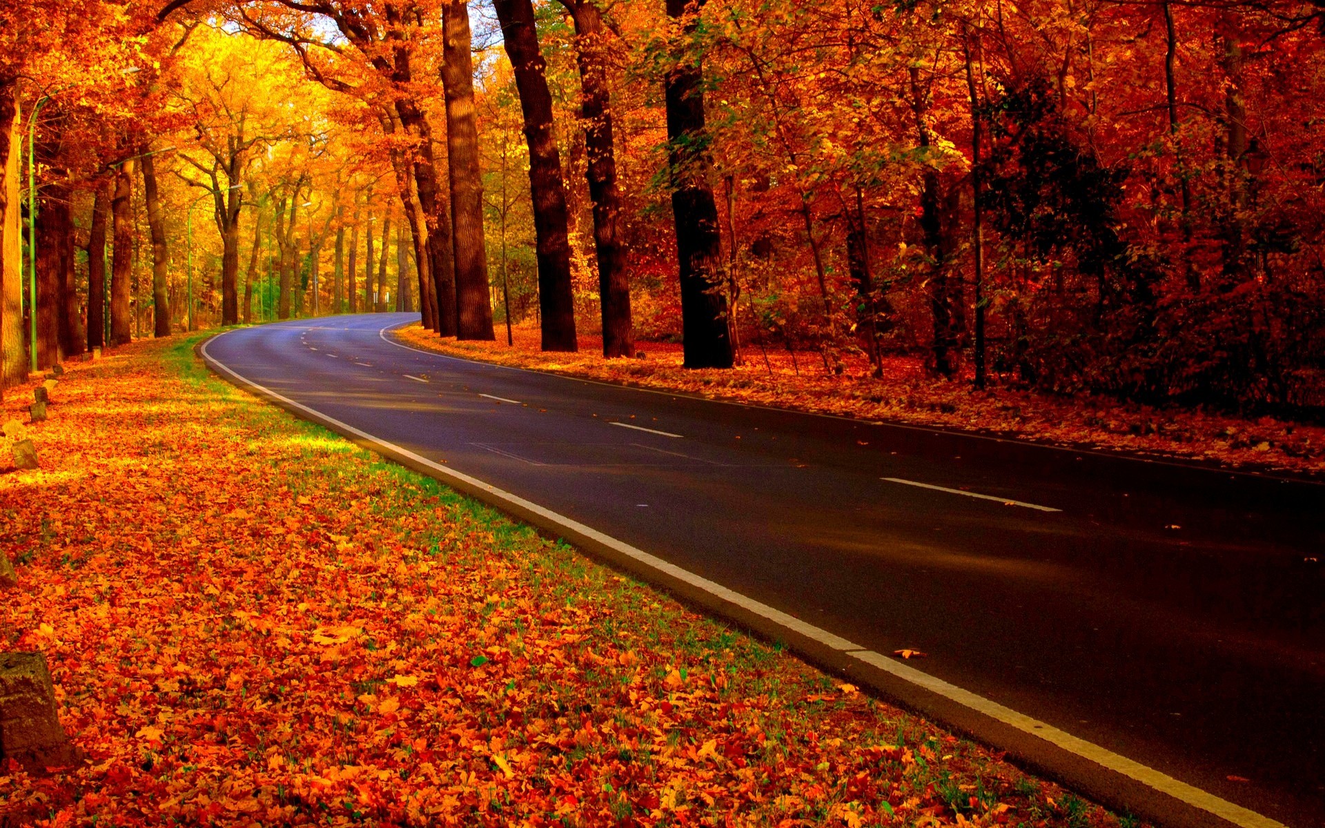 Fall Road Wallpaper