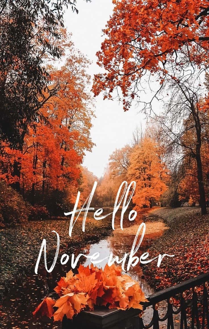 Download Fall Colors on a November Day