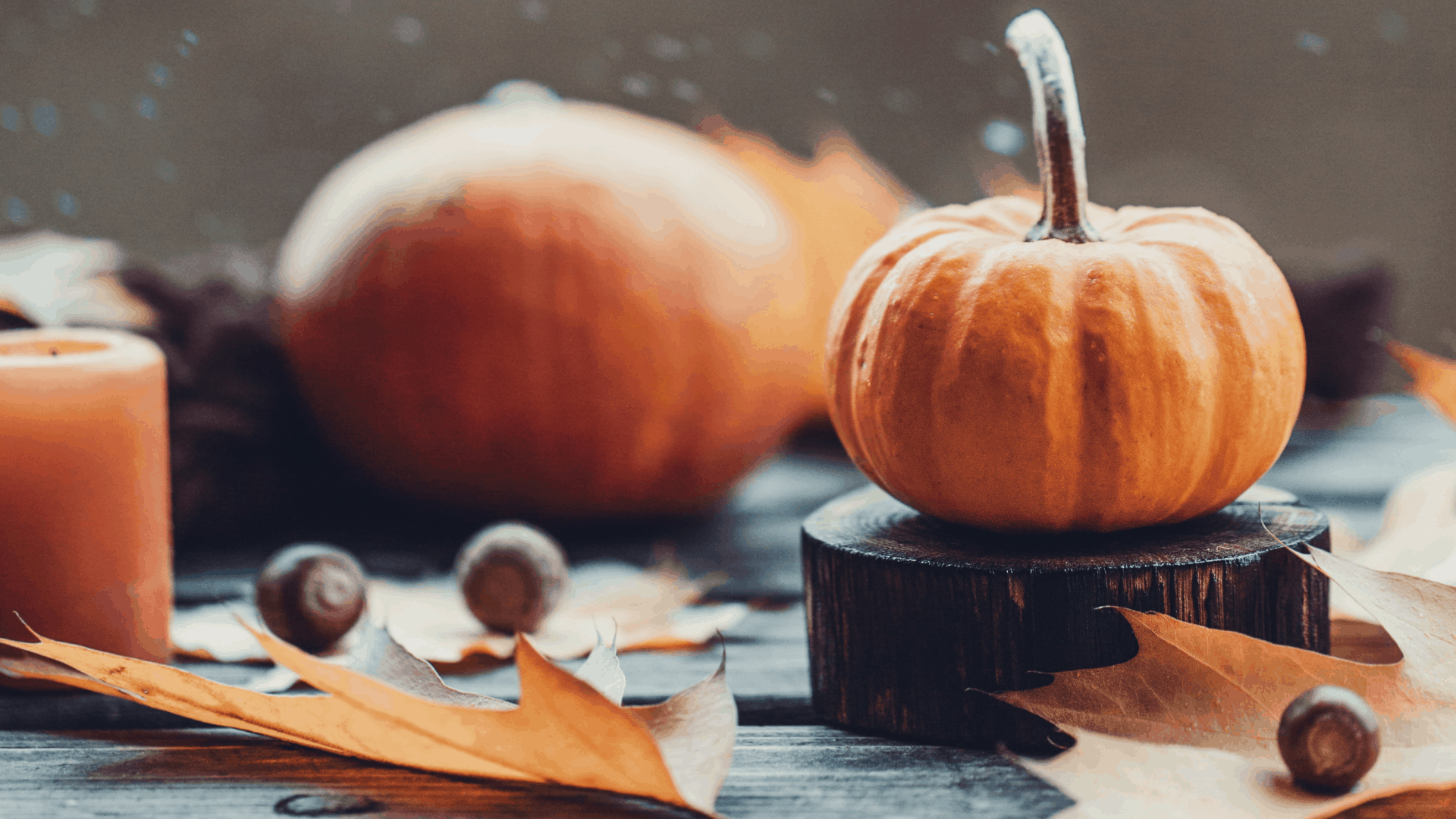 inspirational Autumn quotes that reveal the magic of Fall. Lisa's Notebook