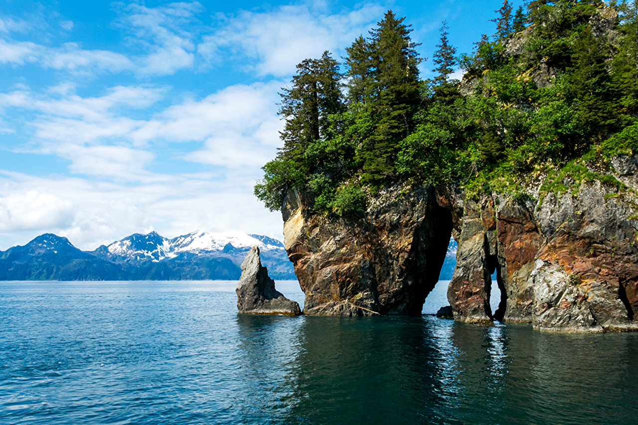 Wallpaper Nature USA Kenai Fjords National Park Crag Fjord Spruce