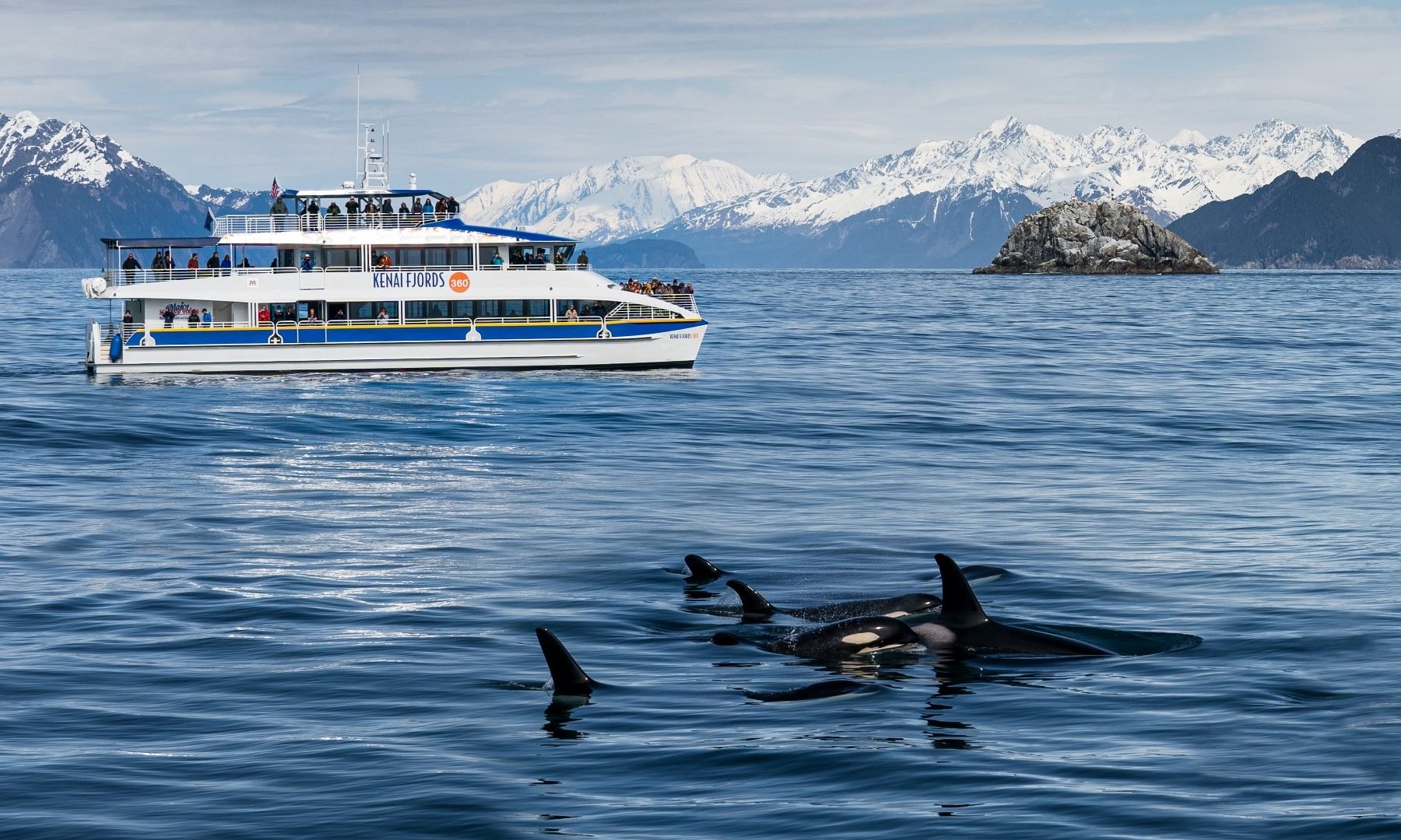 Kenai Fjords Photo & Video Gallery Marine Tours