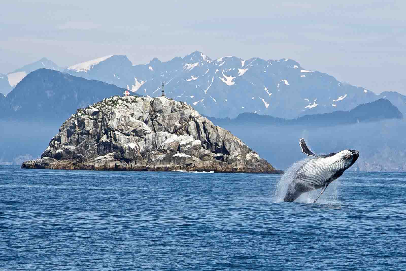 Monitoring Natural Resources in Kenai Fjords National Park (U.S. National Park Service)