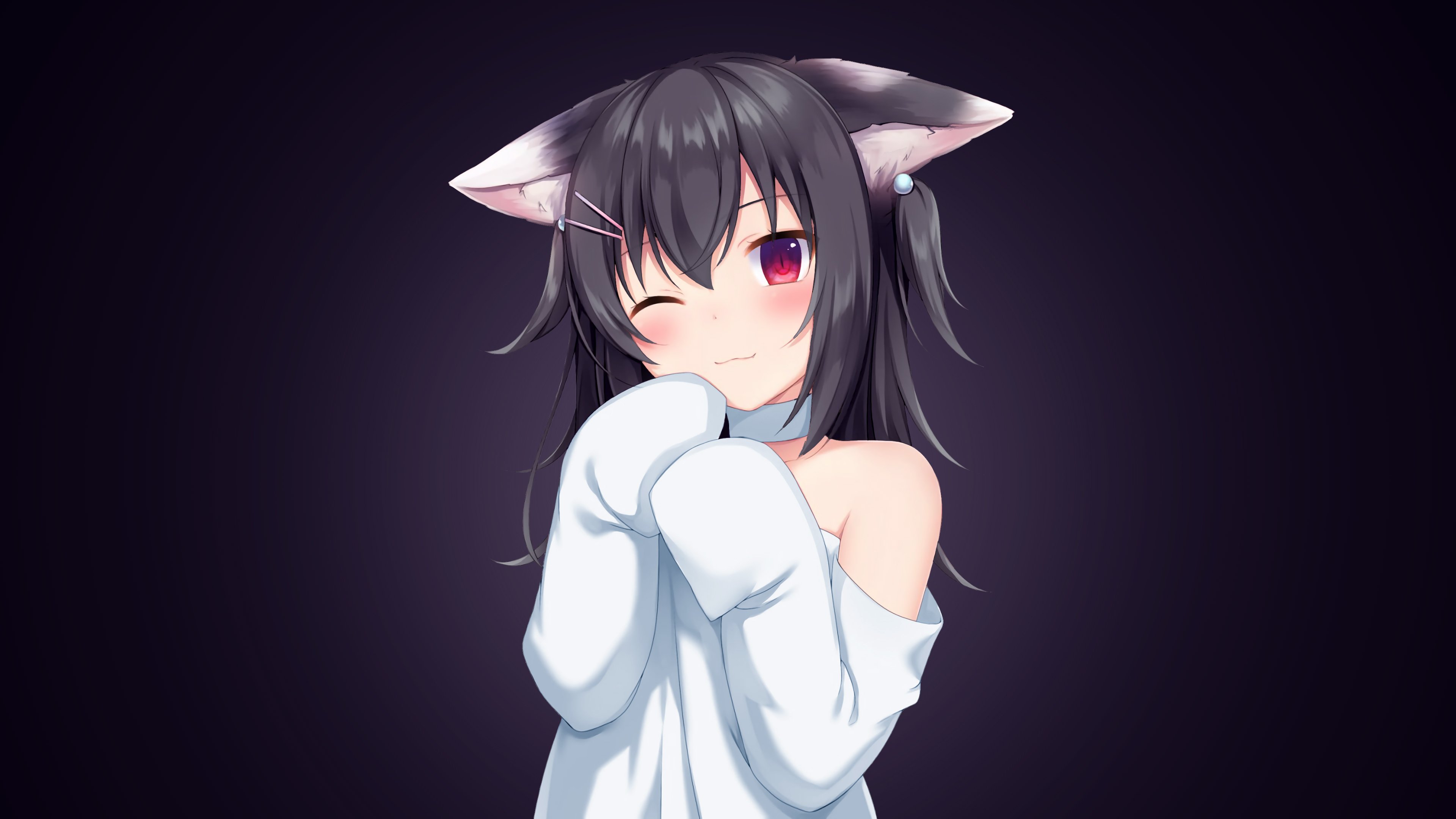 Anime girl with cat ears Desktop wallpaper 1600x900