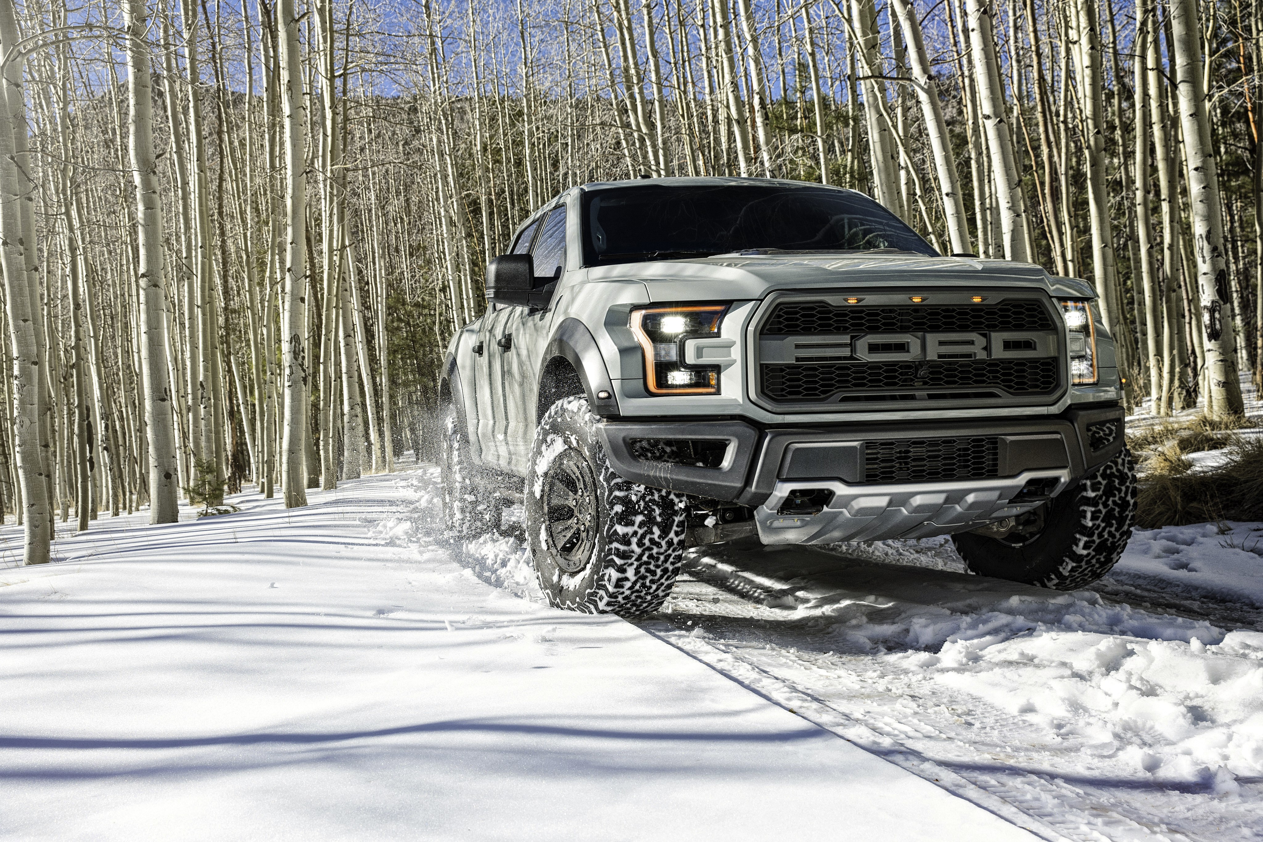 4K, F 150 Raptor, Ford, Front, Snow Gallery HD Wallpaper
