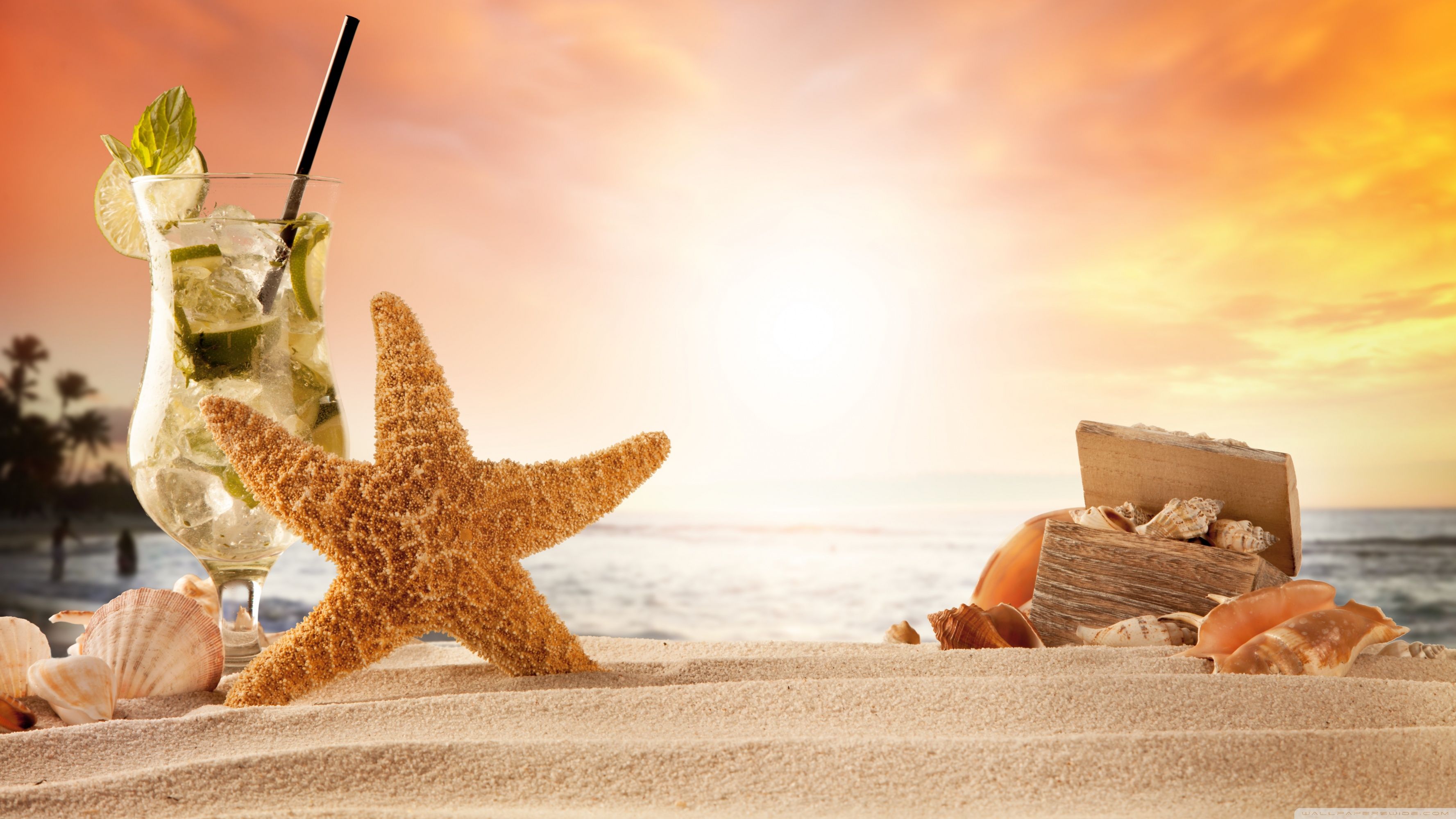 Welcome Summer Wallpaper