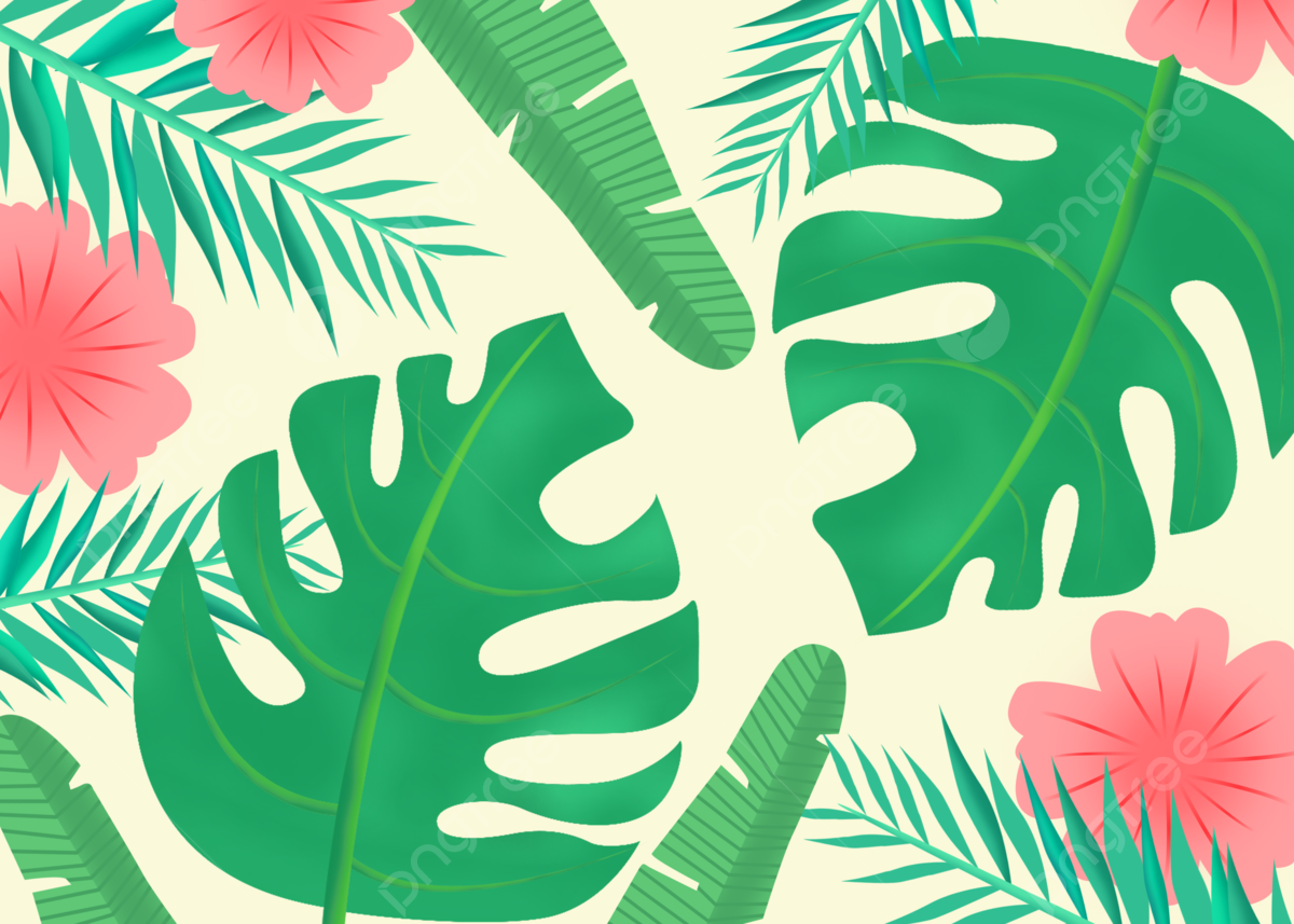 Unique Summer tropical plant aesthetic background, HD Background Image
