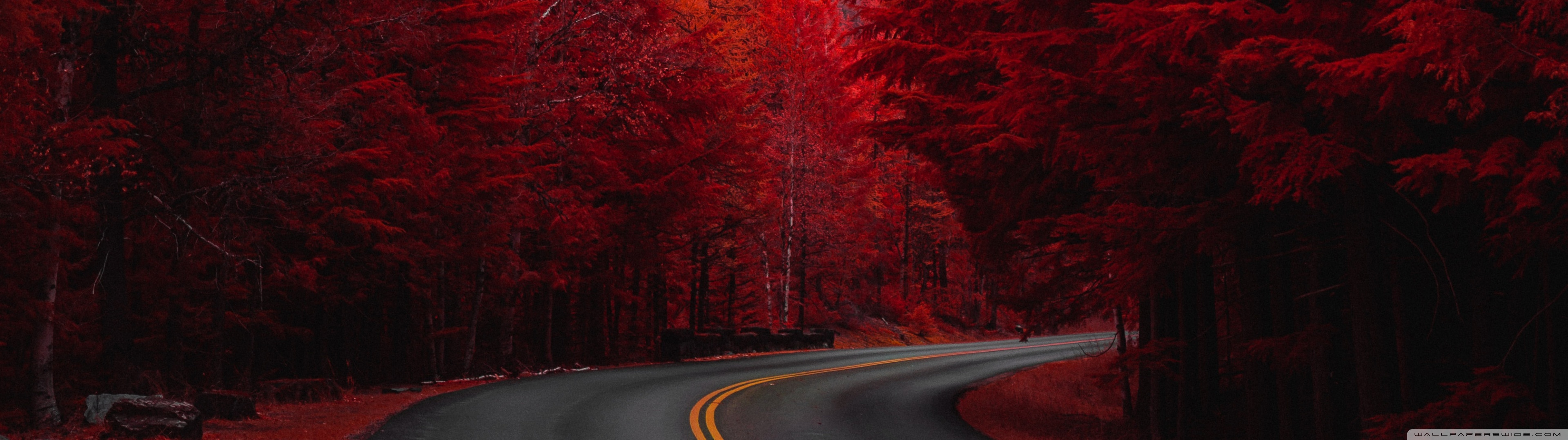 Autumn, Road, Aesthetic Ultra HD Desktop Background Wallpaper for: Multi Display, Dual Monitor, Tablet