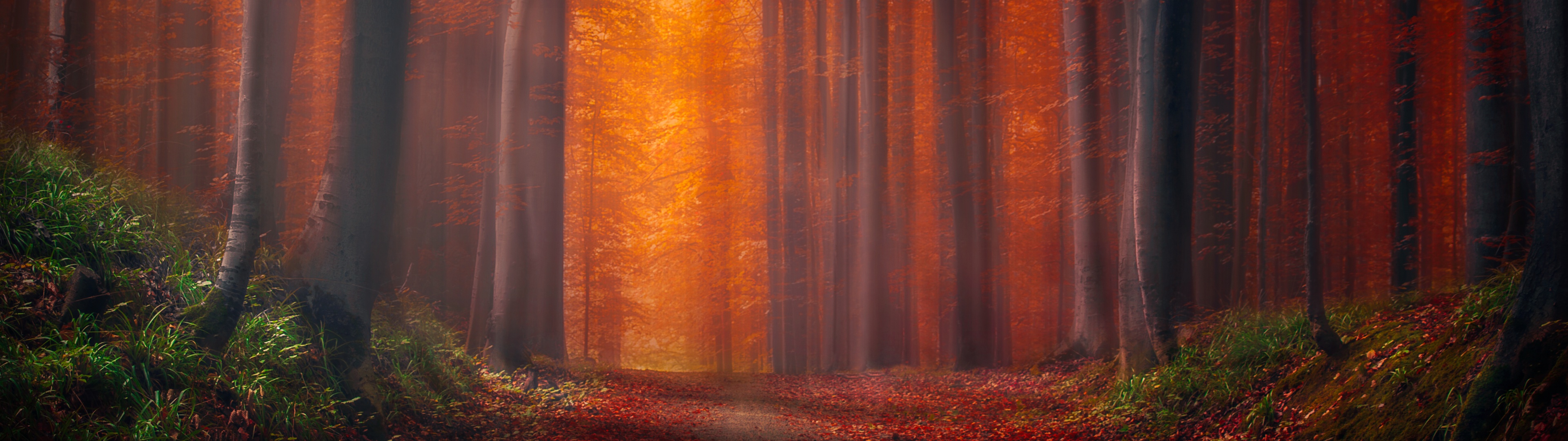 Dual Monitor HD Wallpaperx1080 Wallpaper