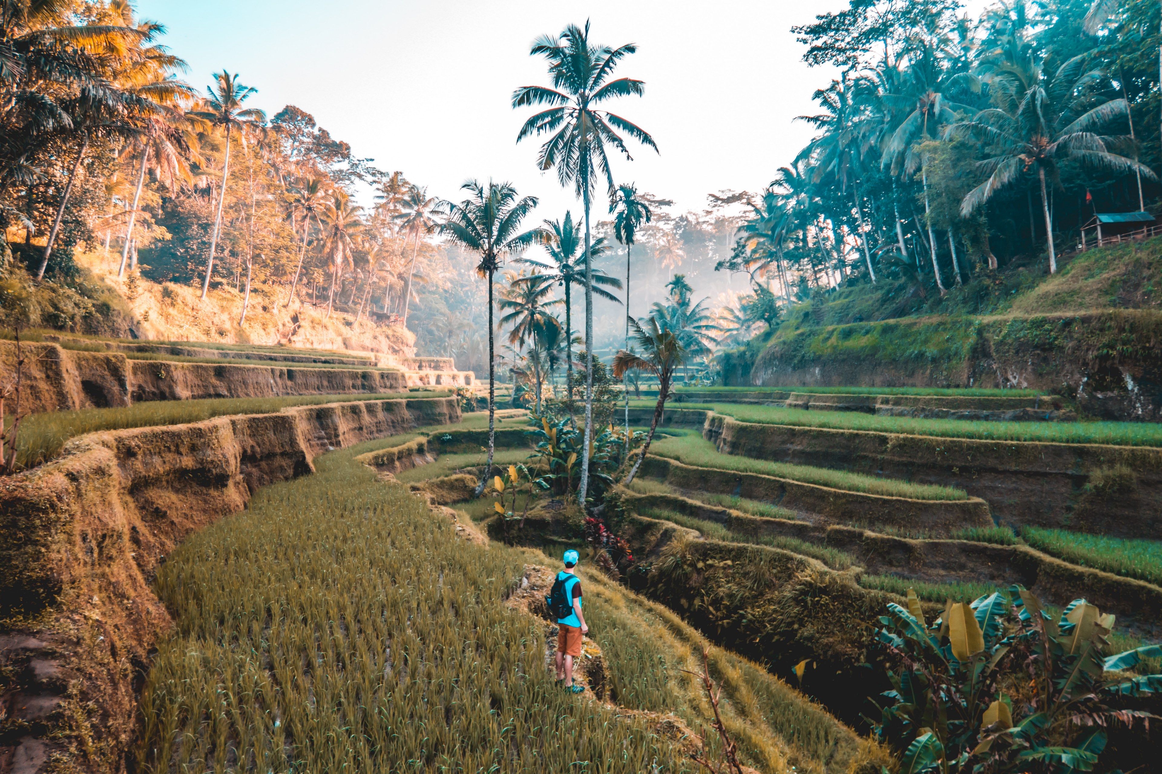 Natural Bridge In Bali Cave iPhone Wallpapers Free Download