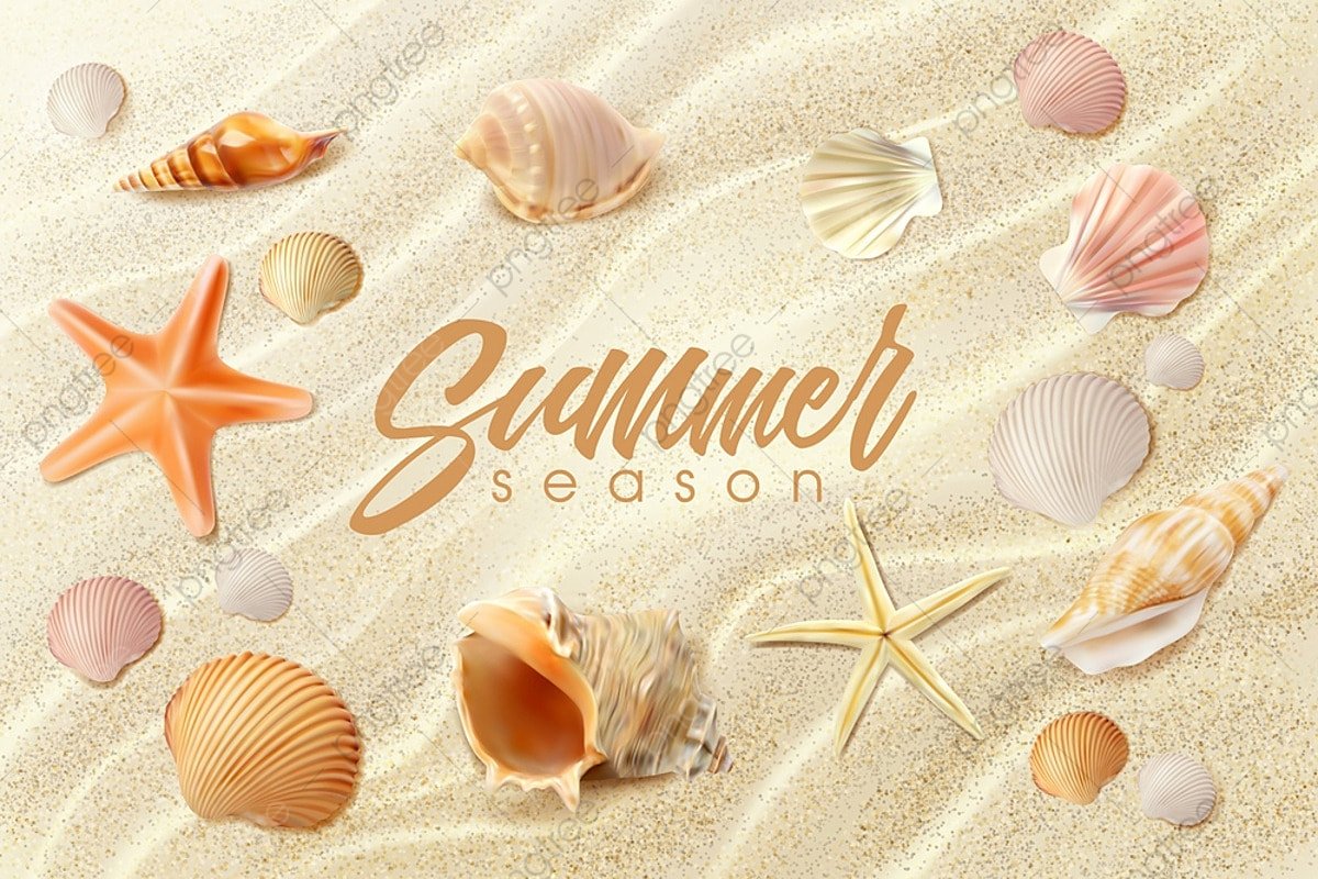 Summer Beach Background Realistic Seashell Download on Pngtree
