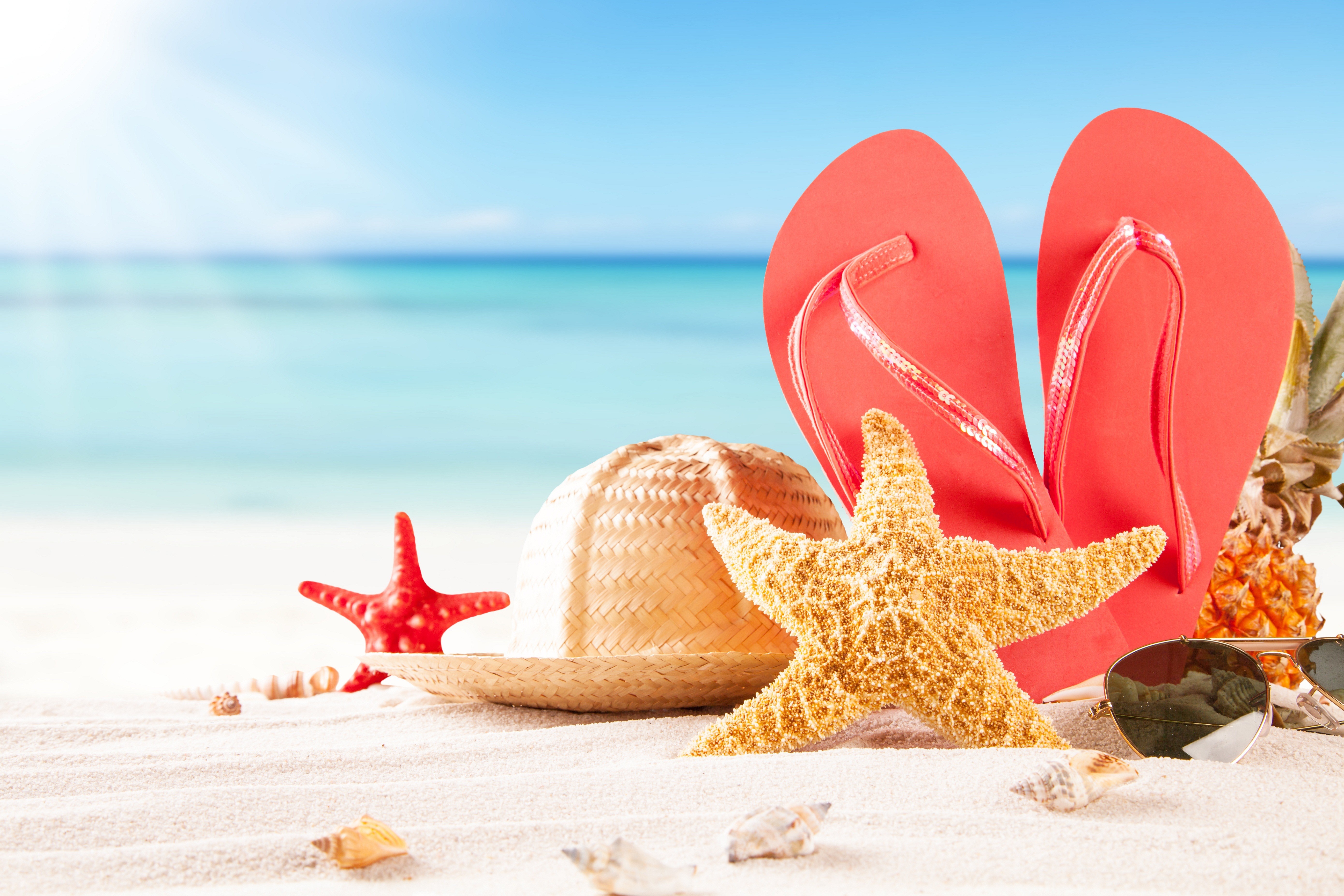 Wallpaper, sand, sky, hat, beach, pineapples, starfish, summer, sandals, seashell, vacation, seastar, computer wallpaper, 5560x3707 px 5560x3707