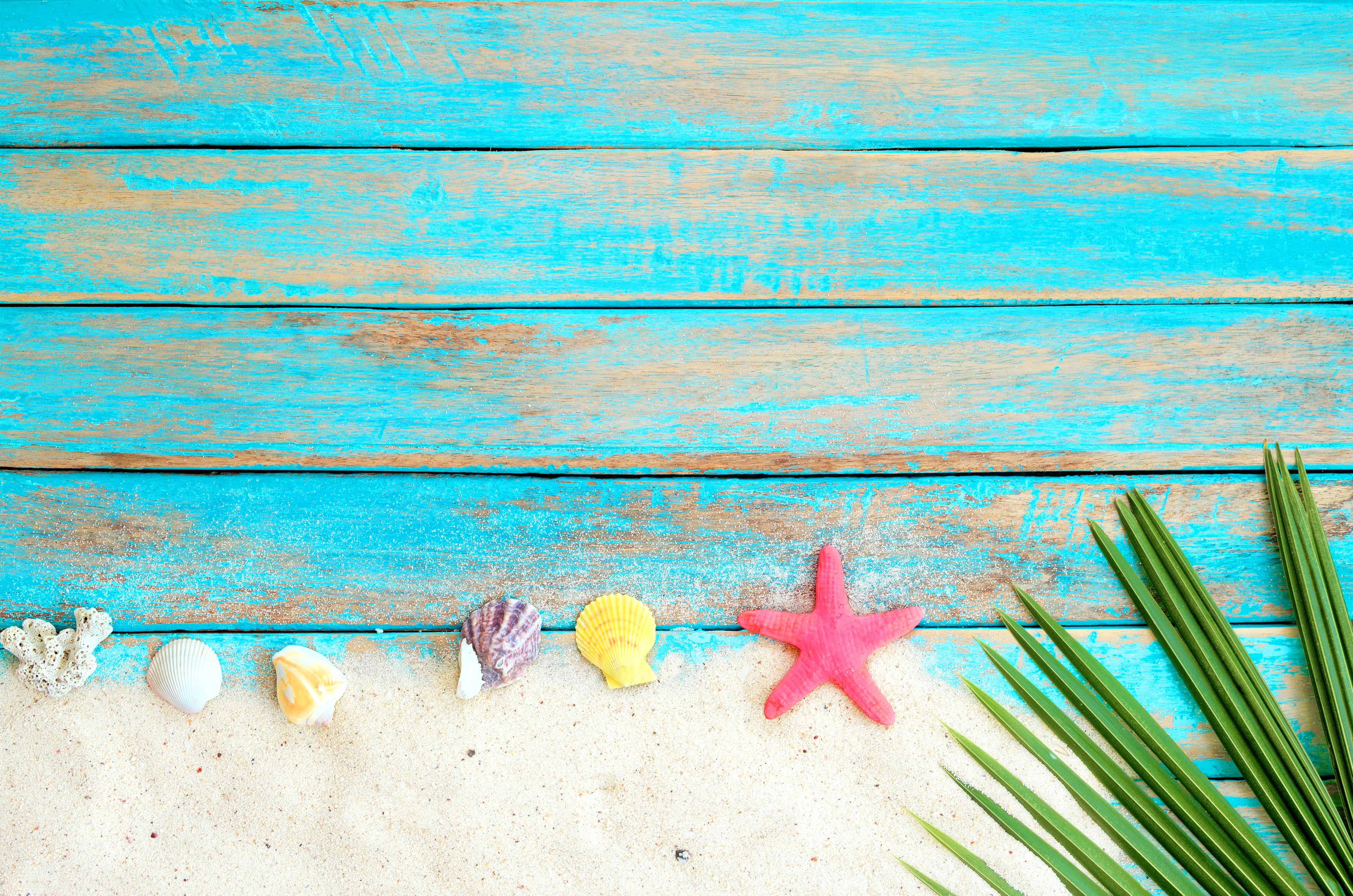Wallpaper / Board, wood, shell, starfish, summer, beach, sand, marine, 4K, star, seashells, background free download