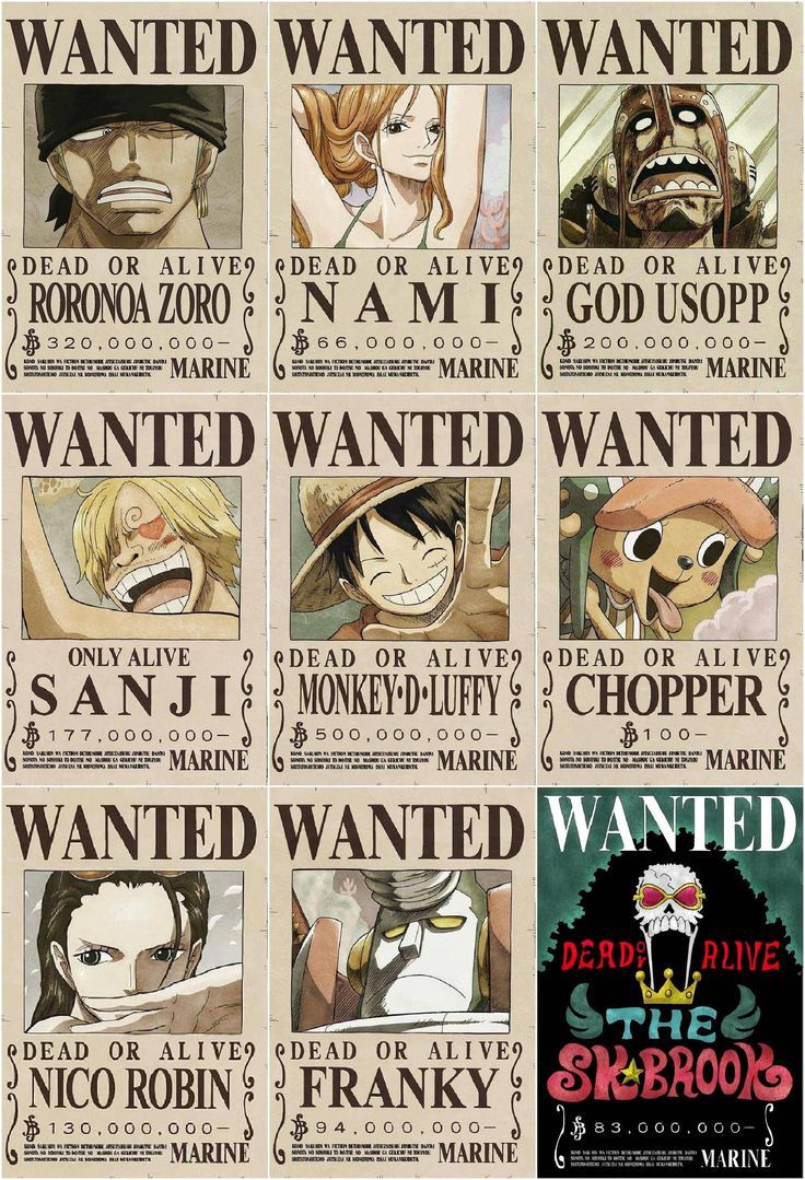 patrika Shop. Redbubble. One piece bounties, Manga anime one piece, One piece comic