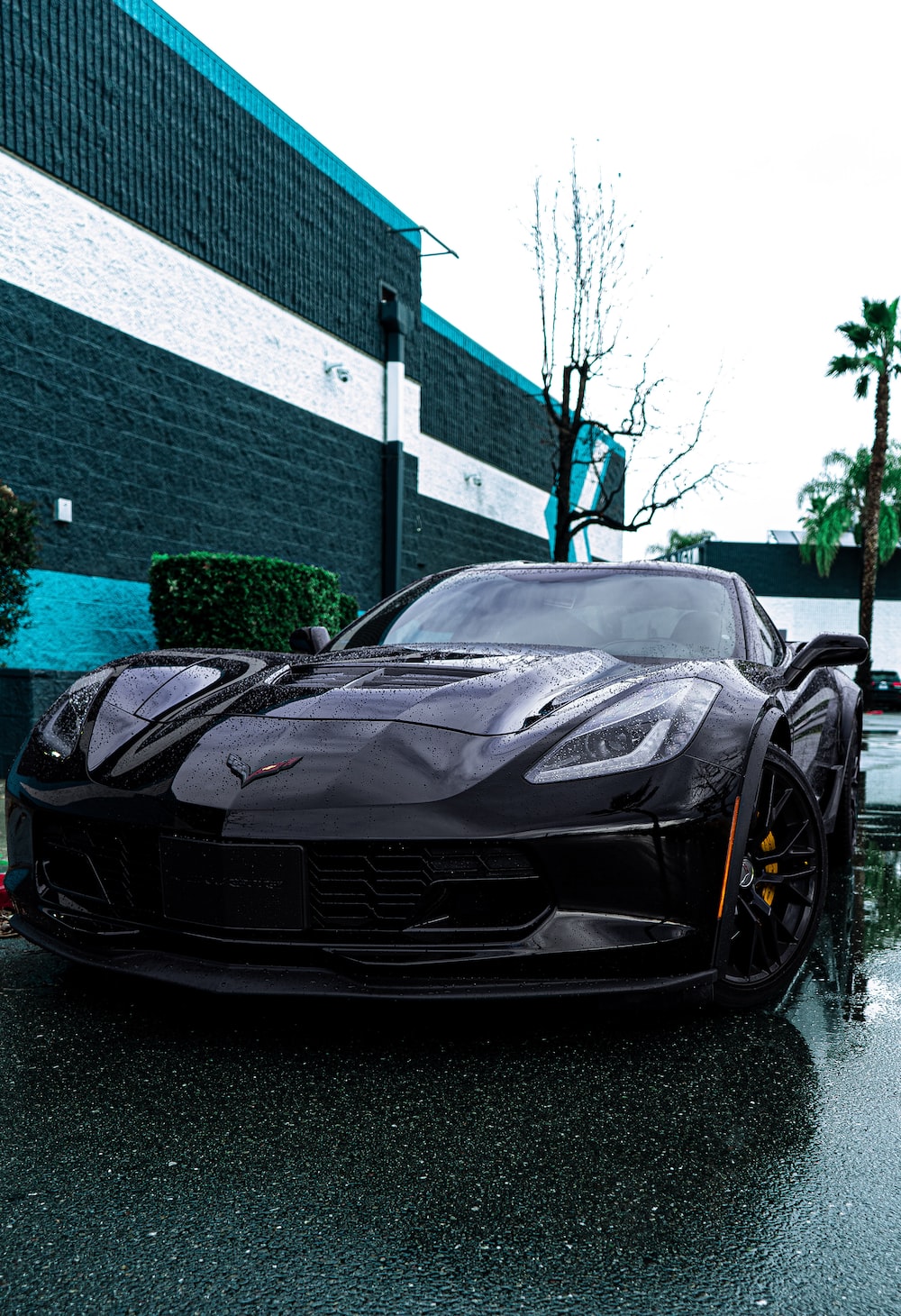 Chevrolet Corvette Picture. Download Free Image