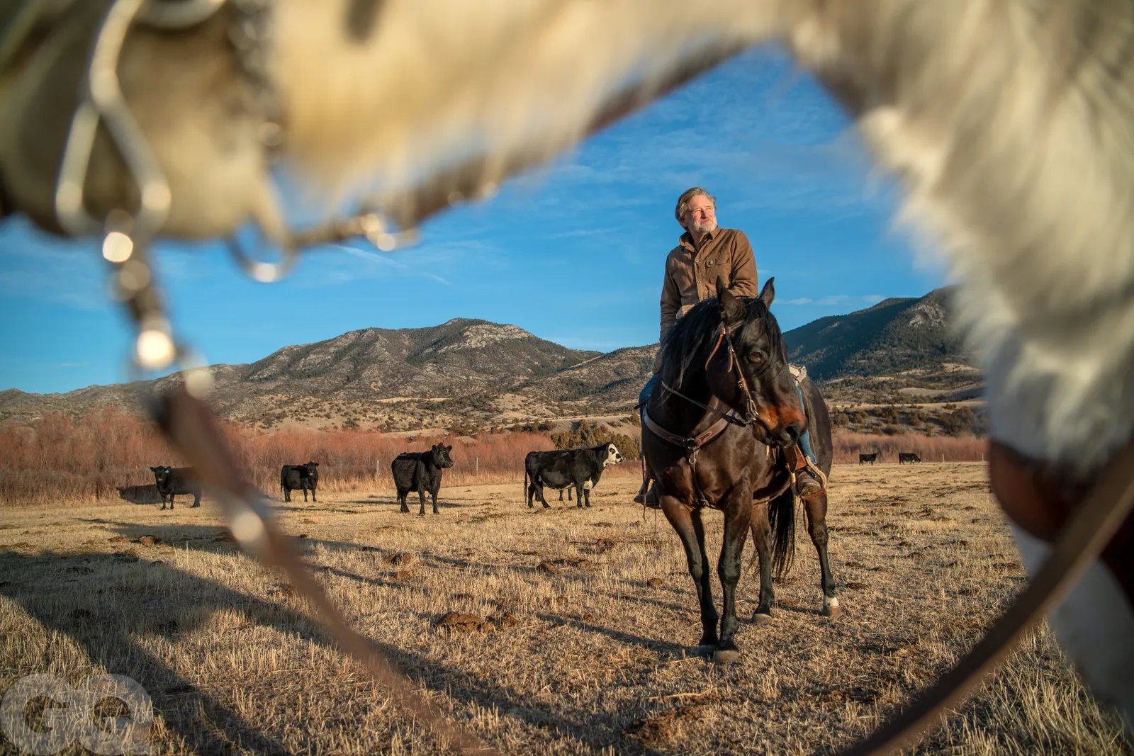 karen han bill pullman pics are. incredibly powerful