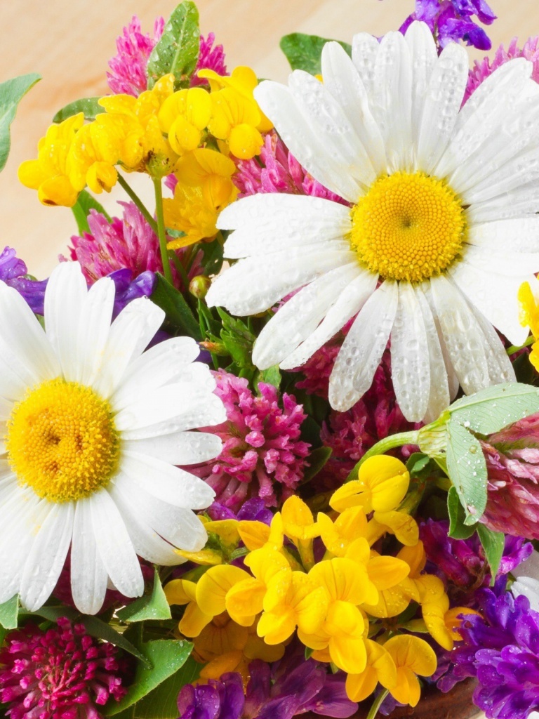 Summer Fresh Flowers iPad wallpaper