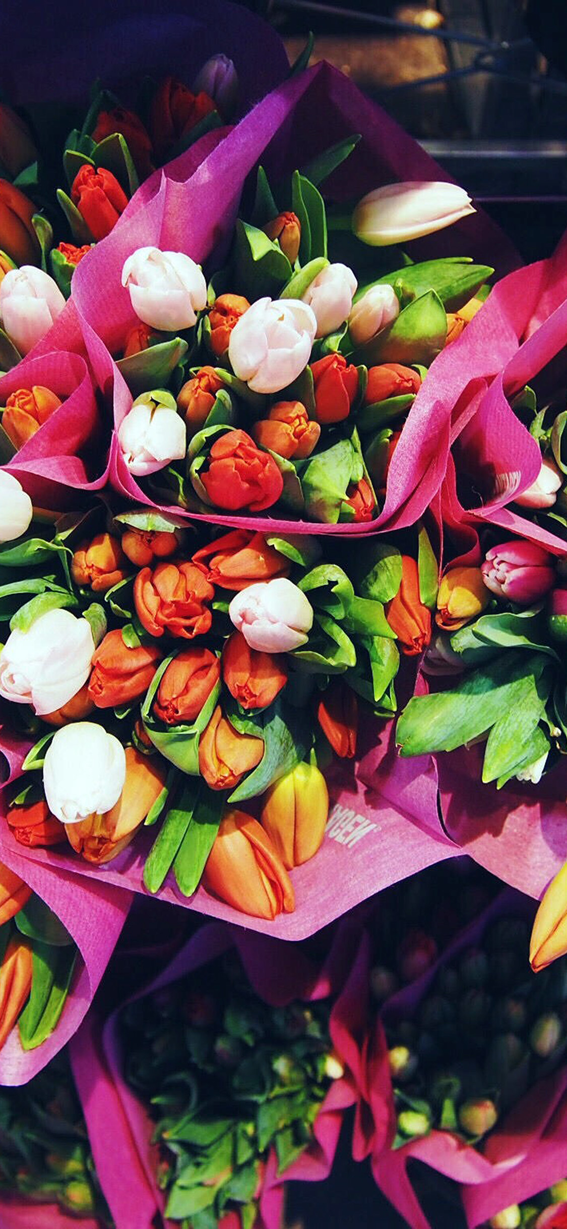 iPhone X wallpaper. flower summer spring nature