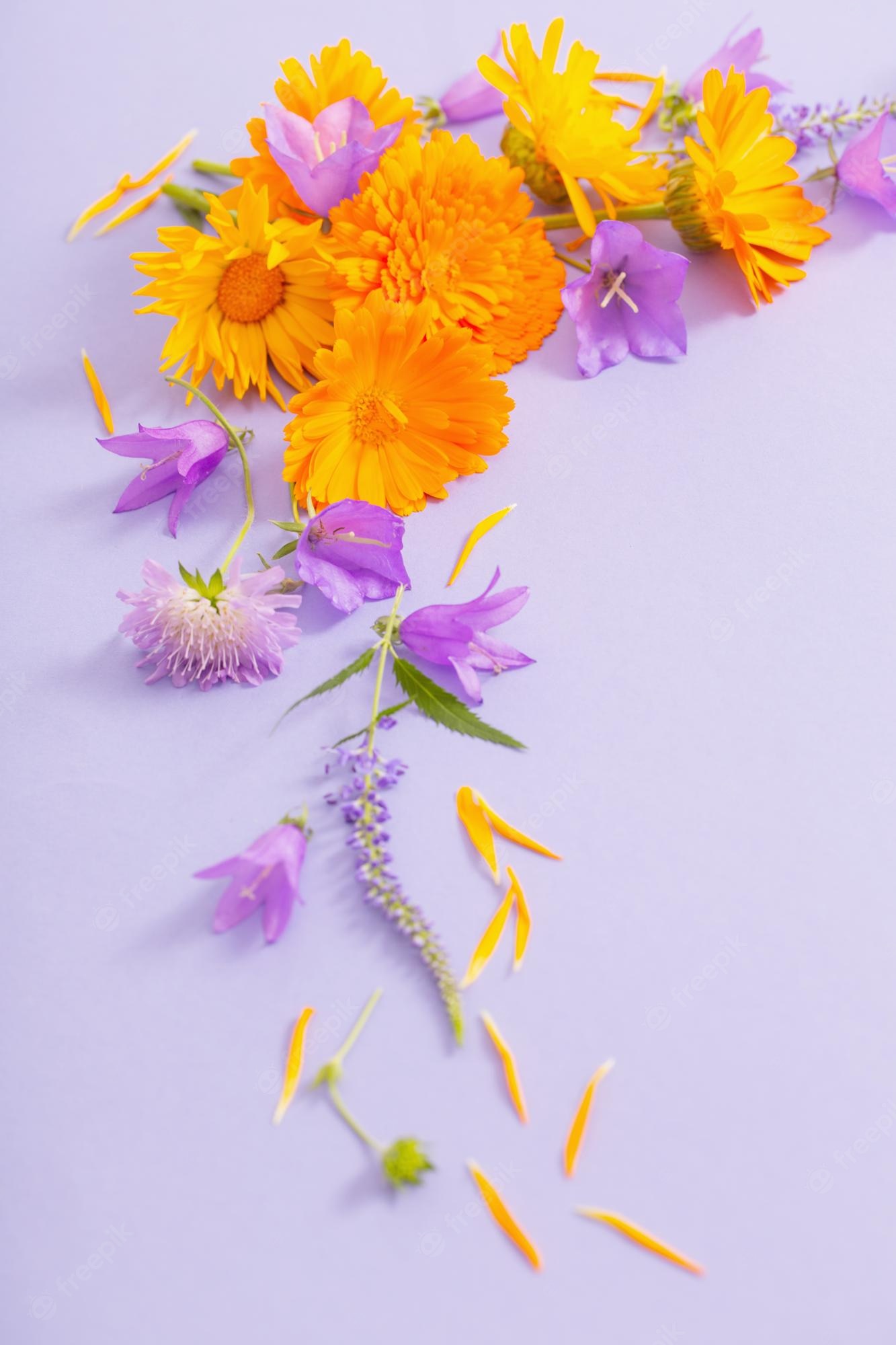 Premium Photo. Summer flowers on violet paper background