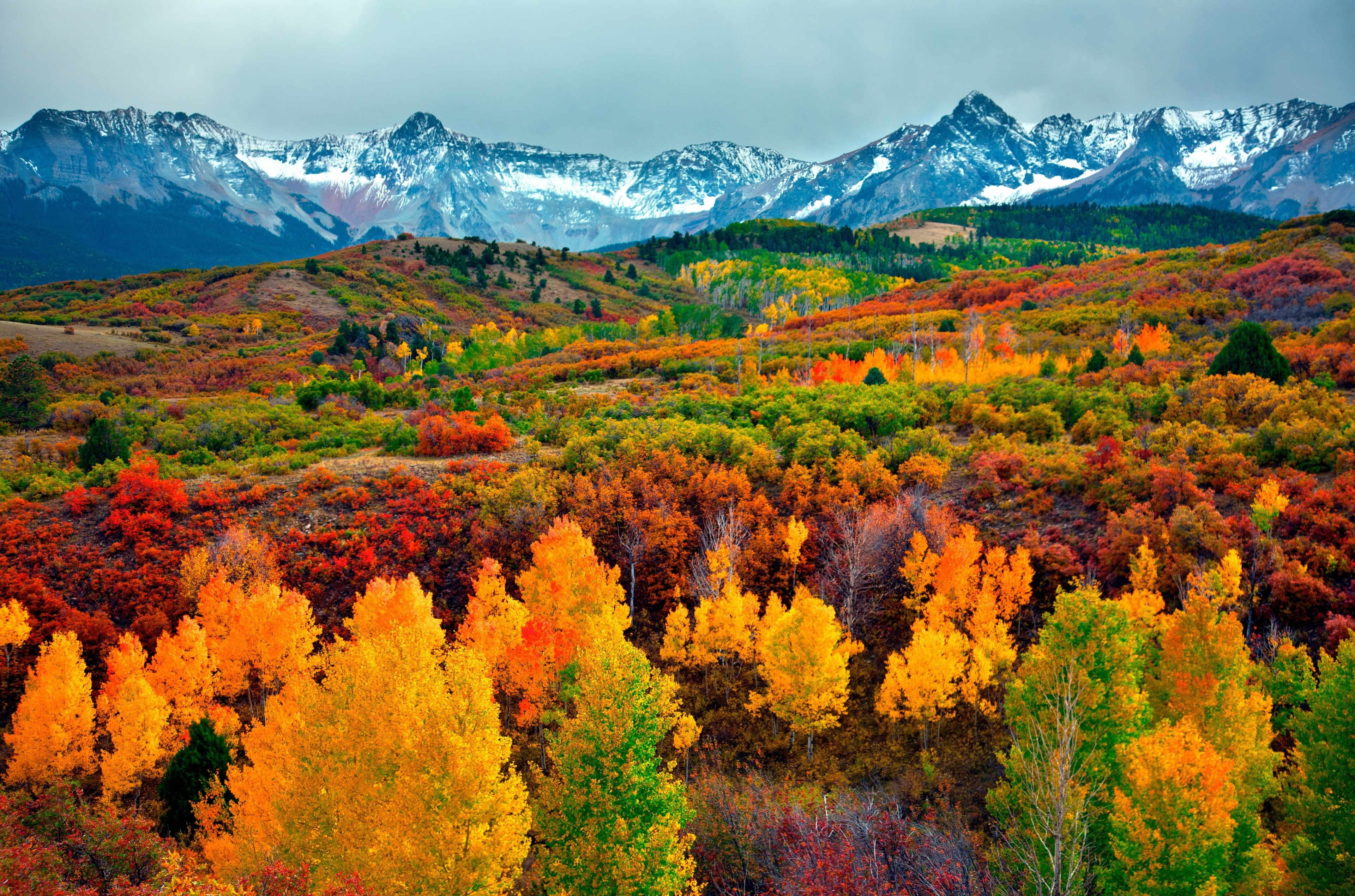 Wallpaper Autumn 4k HD Desktop Download