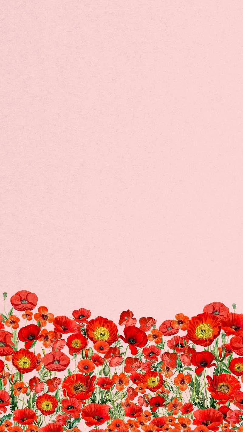 iPhone Wallpaper Poppies Image. Free