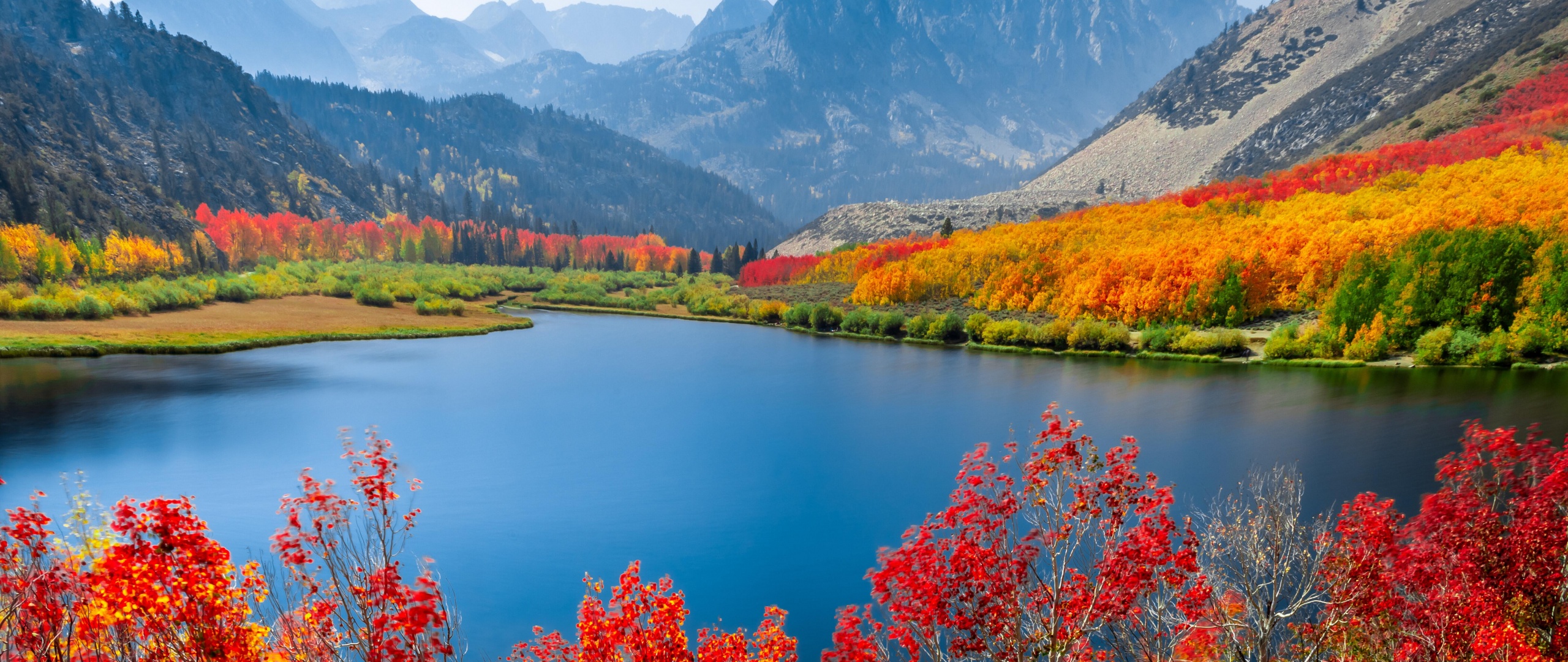Autumn trees Wallpaper 4K, Lake, Mountain range, Daytime