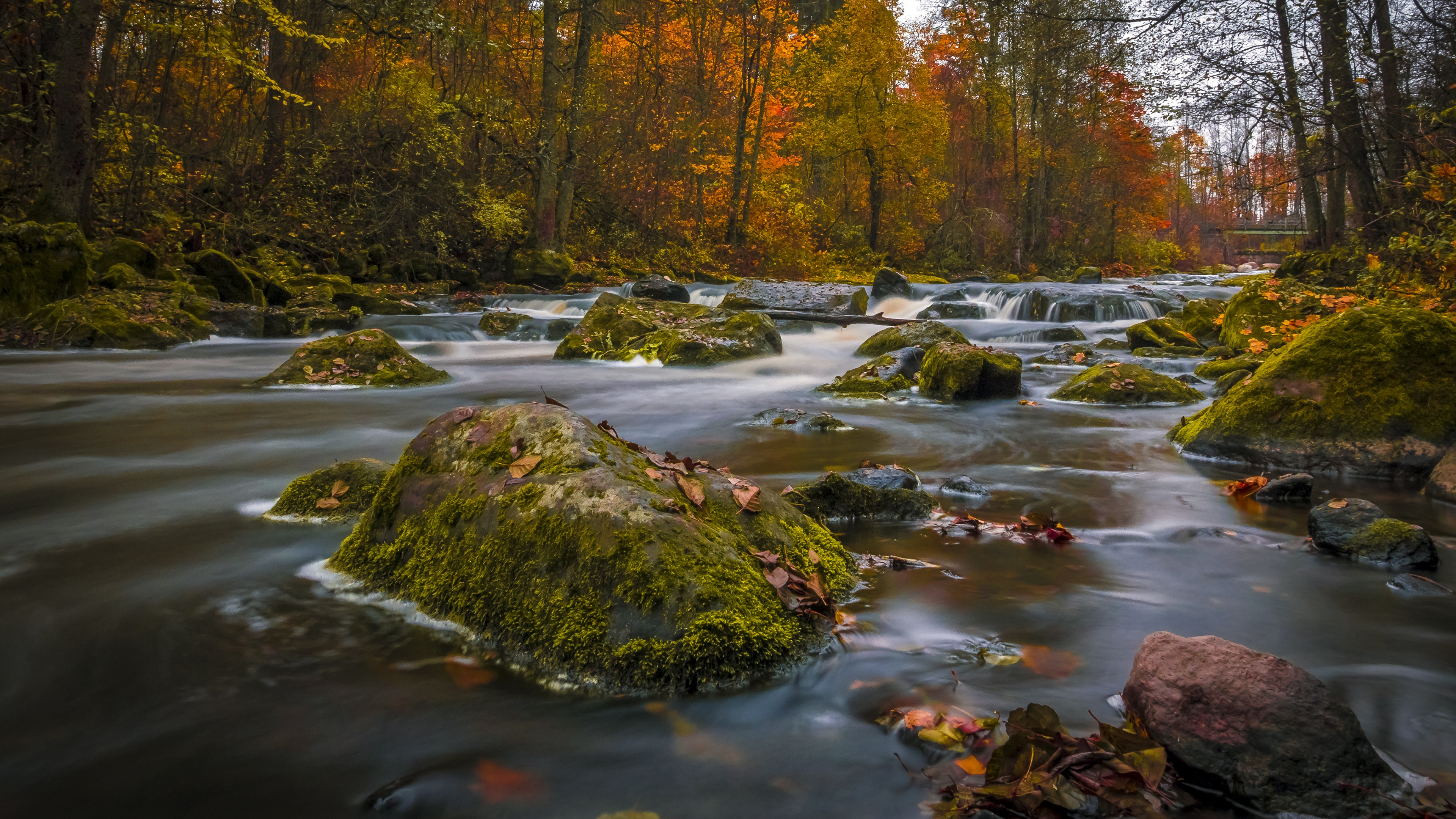 Wallpaper 4k Colors Of Autumn 4k Wallpaper