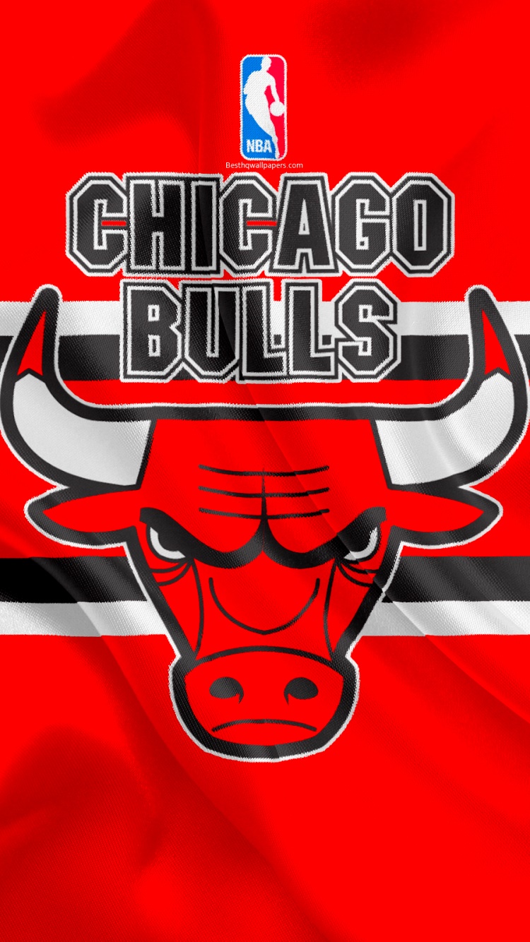 NBA Chicago Bulls - Drip Basketball 21 Wall Poster with Pushpins, 14.725