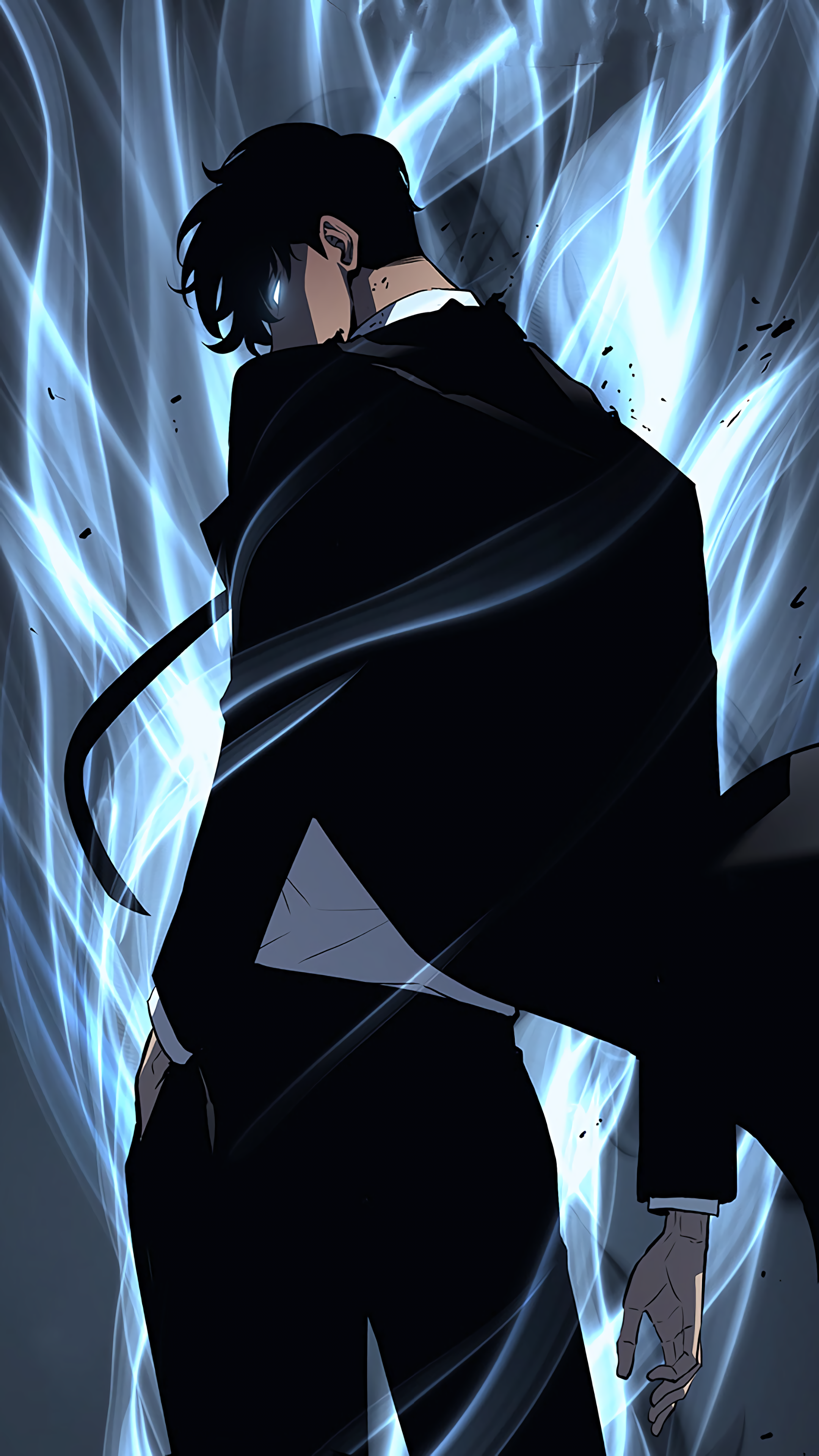 Wallpaper / Anime Solo Leveling Phone Wallpaper, Sung Jin Woo, 2160x3840 Free Download