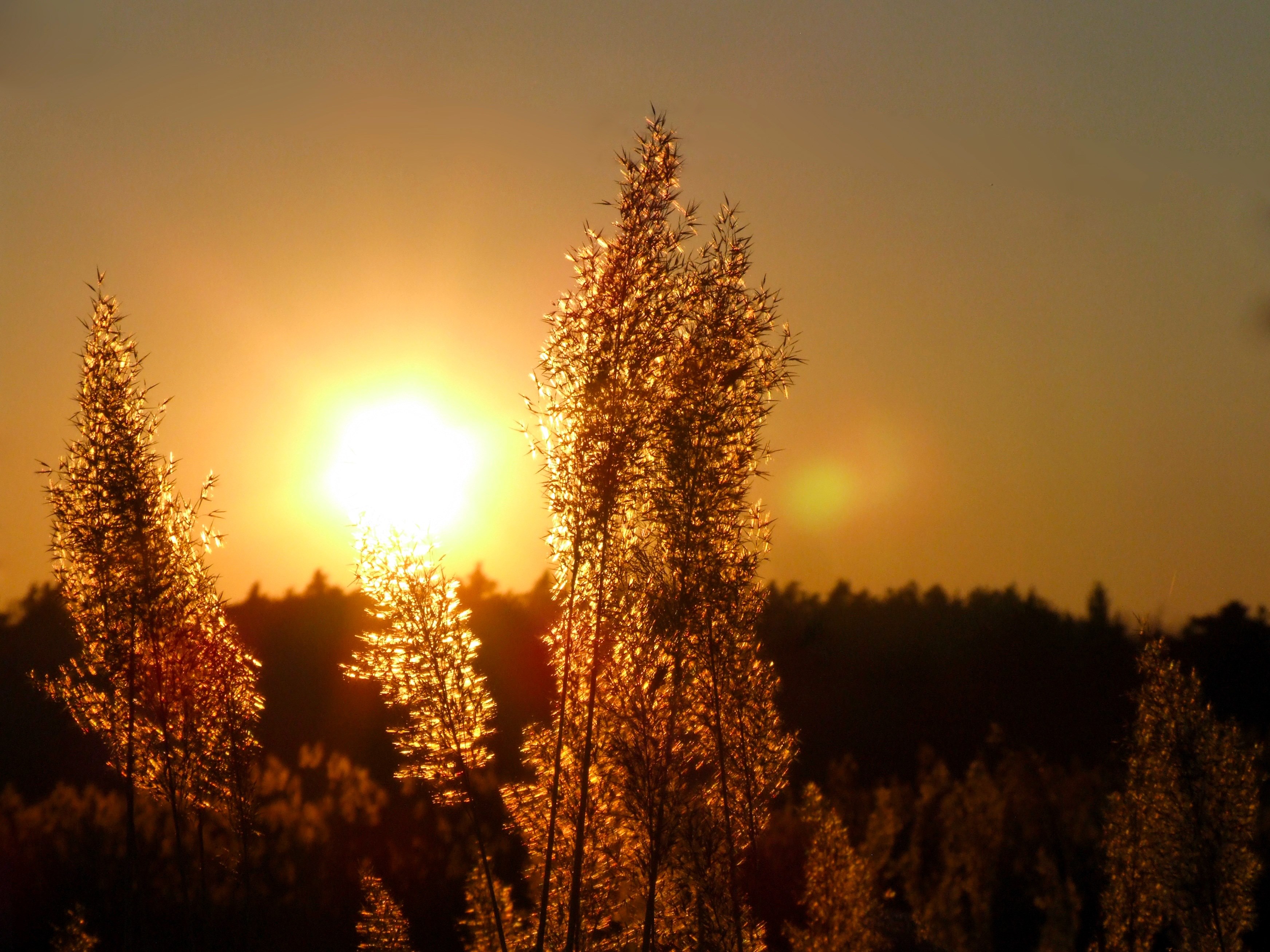 Wallpaper / sun sunset light west landscape summer yellow 4k wallpaper free download