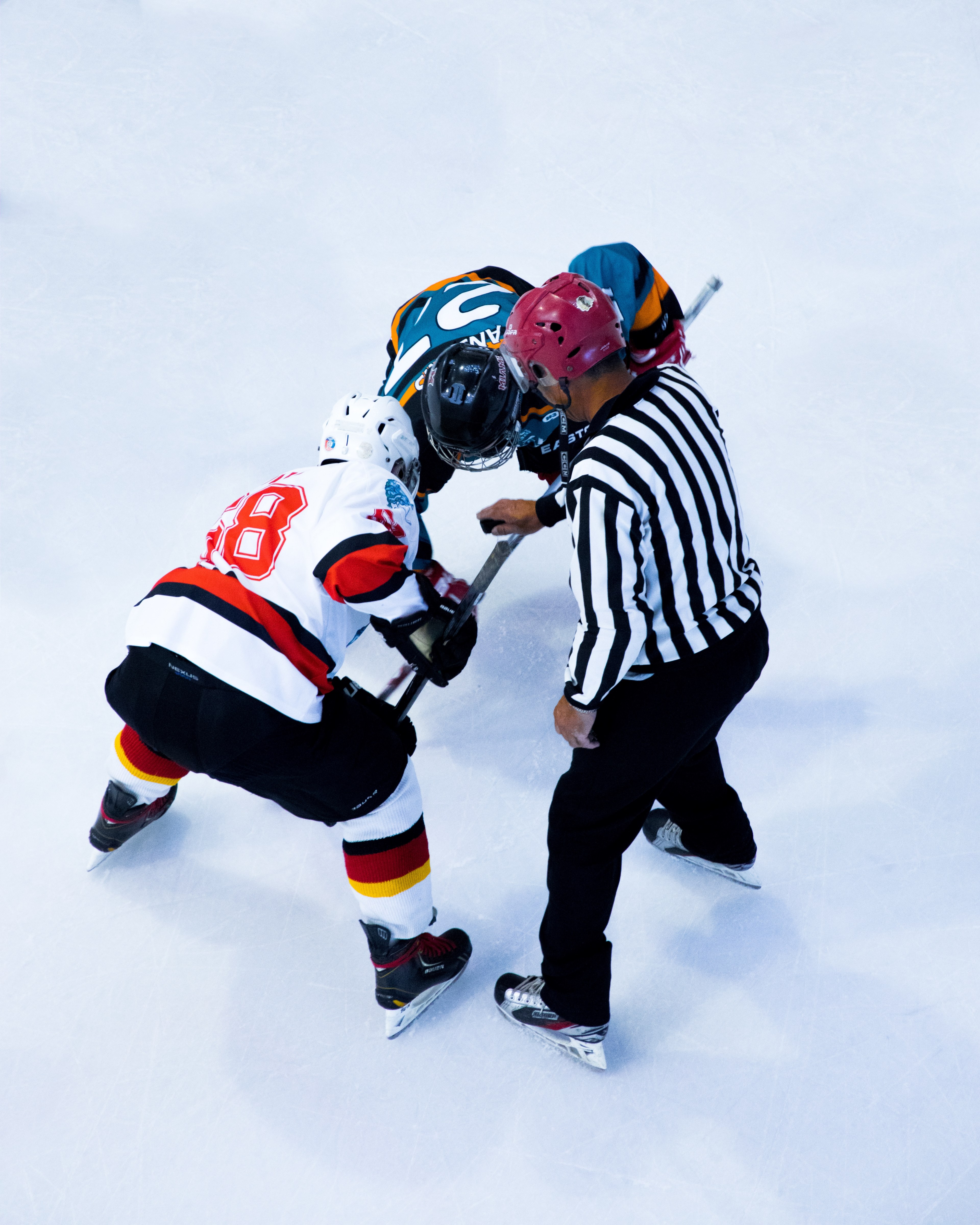 Wallpaper / two hockey players waiting for the ref to drop the puck during a faceoff, ice hockey 4k wallpaper free download