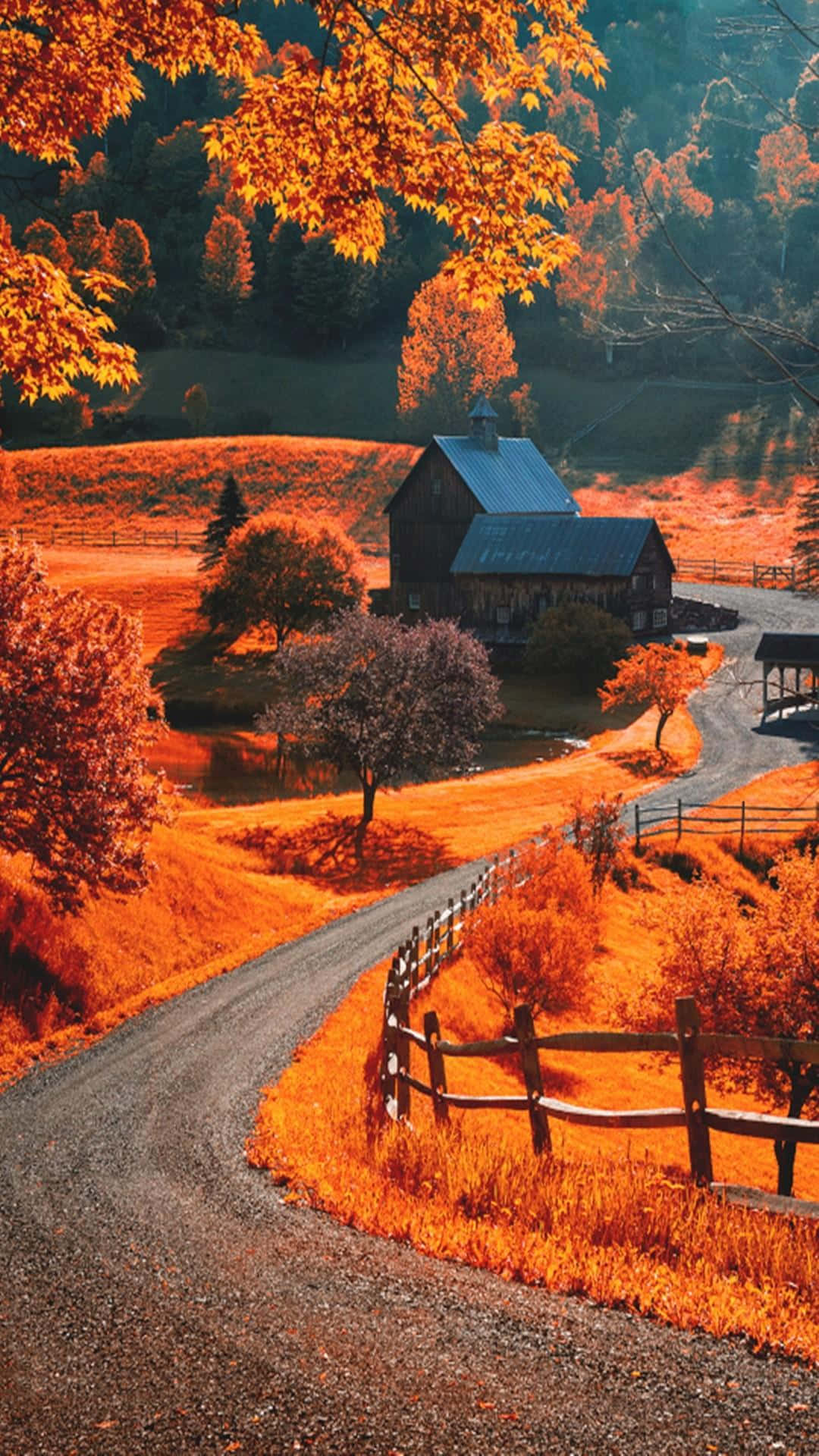 Download Fall Town's vibrant autumn foliage Wallpaper