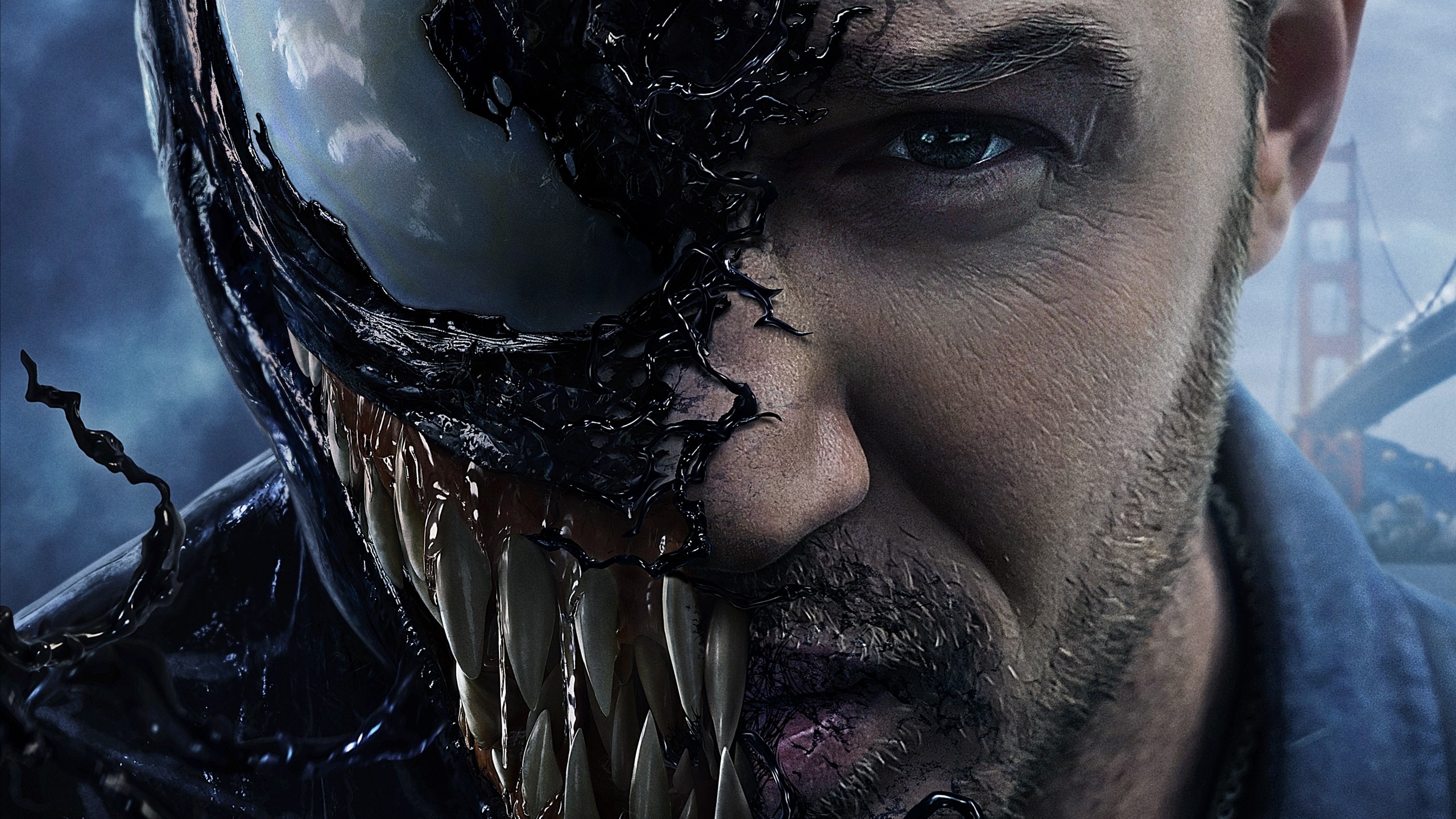 Wallpaper Venom, Tom Hardy, 5k, Movies