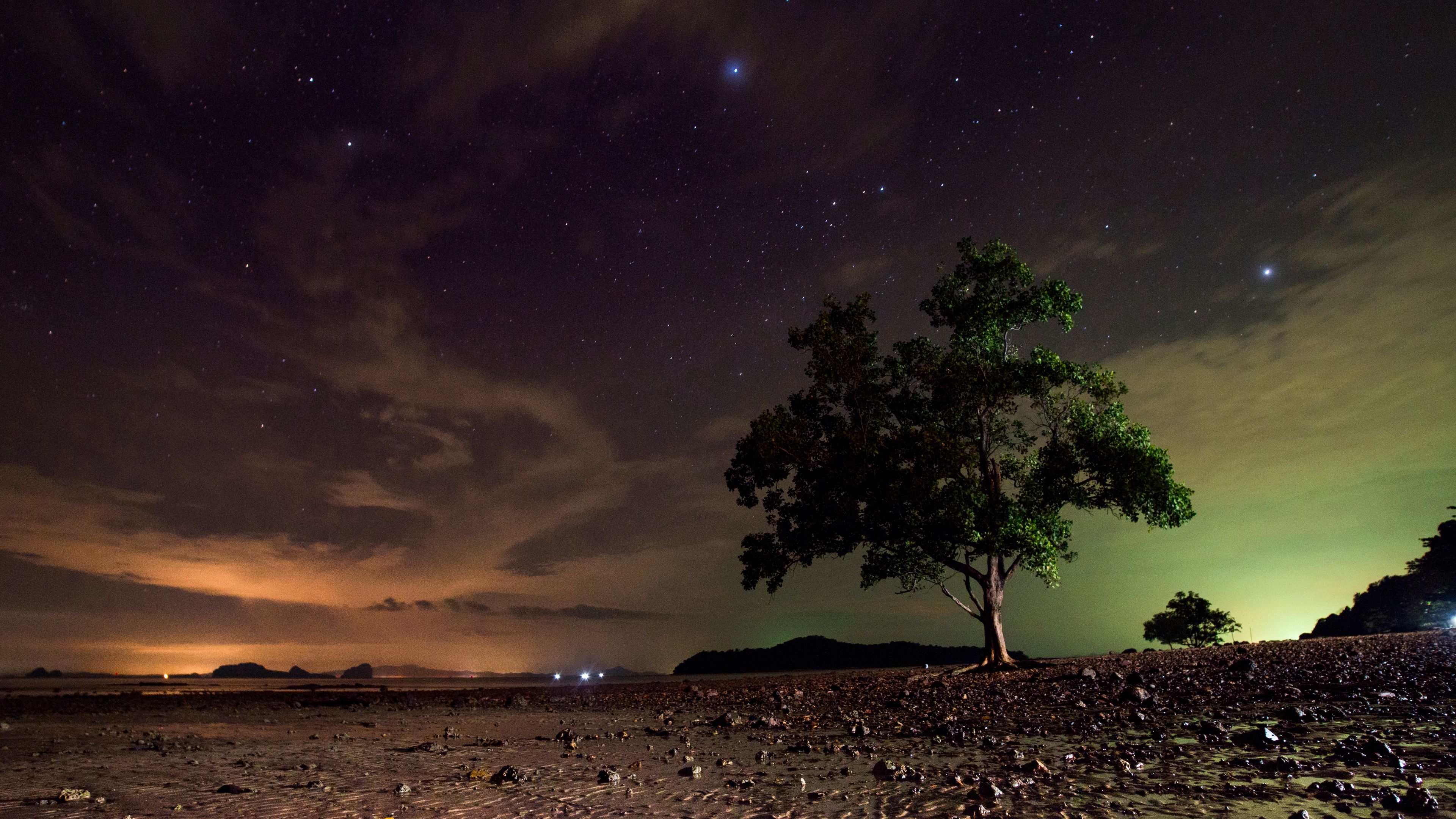 Download wallpaper 3840x2160 starry sky, tree, sand, night, koh lanta, thailand 4k uhd 16:9 HD background