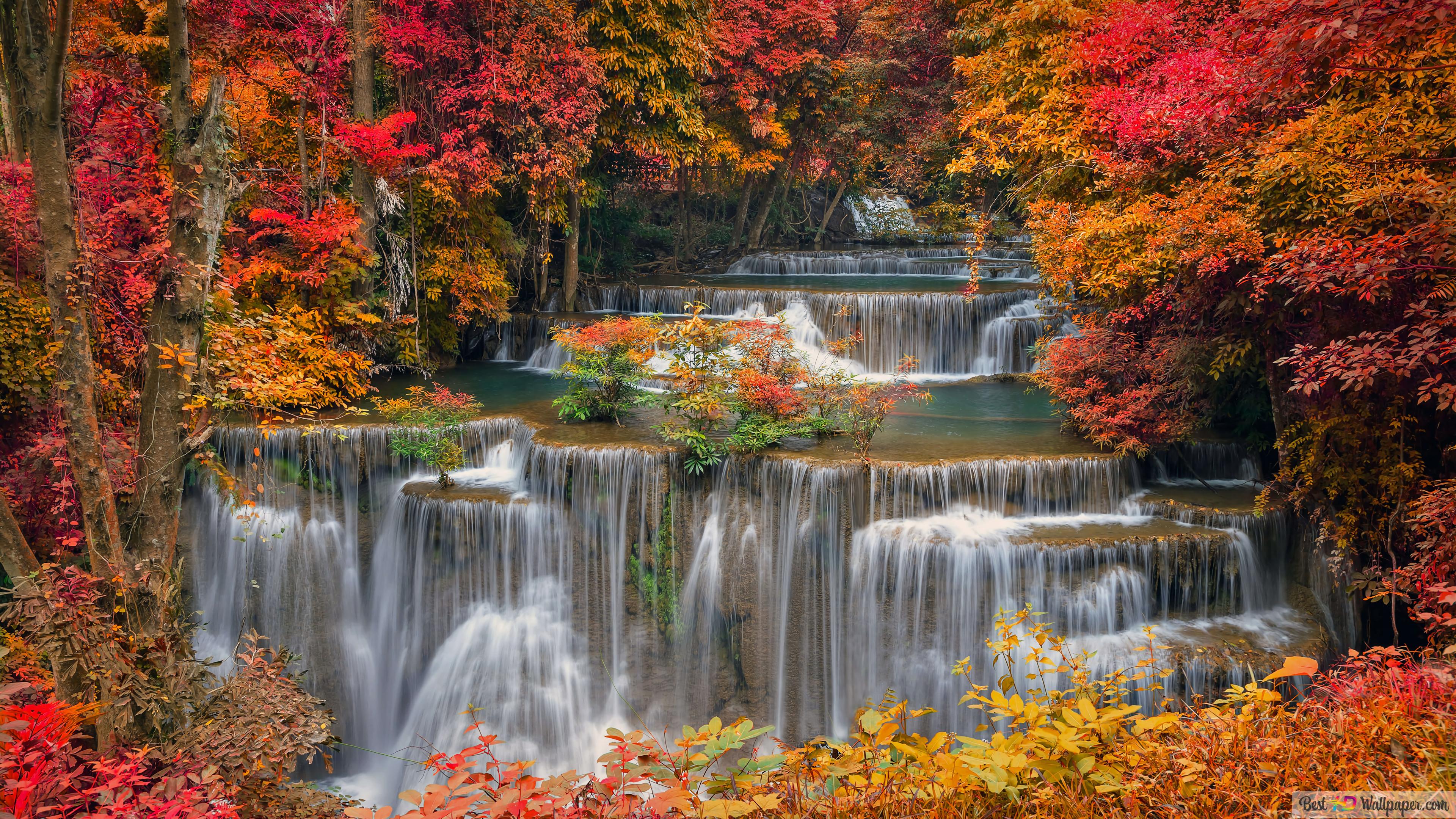 Waterfall Autumn Forest 4K wallpaper download