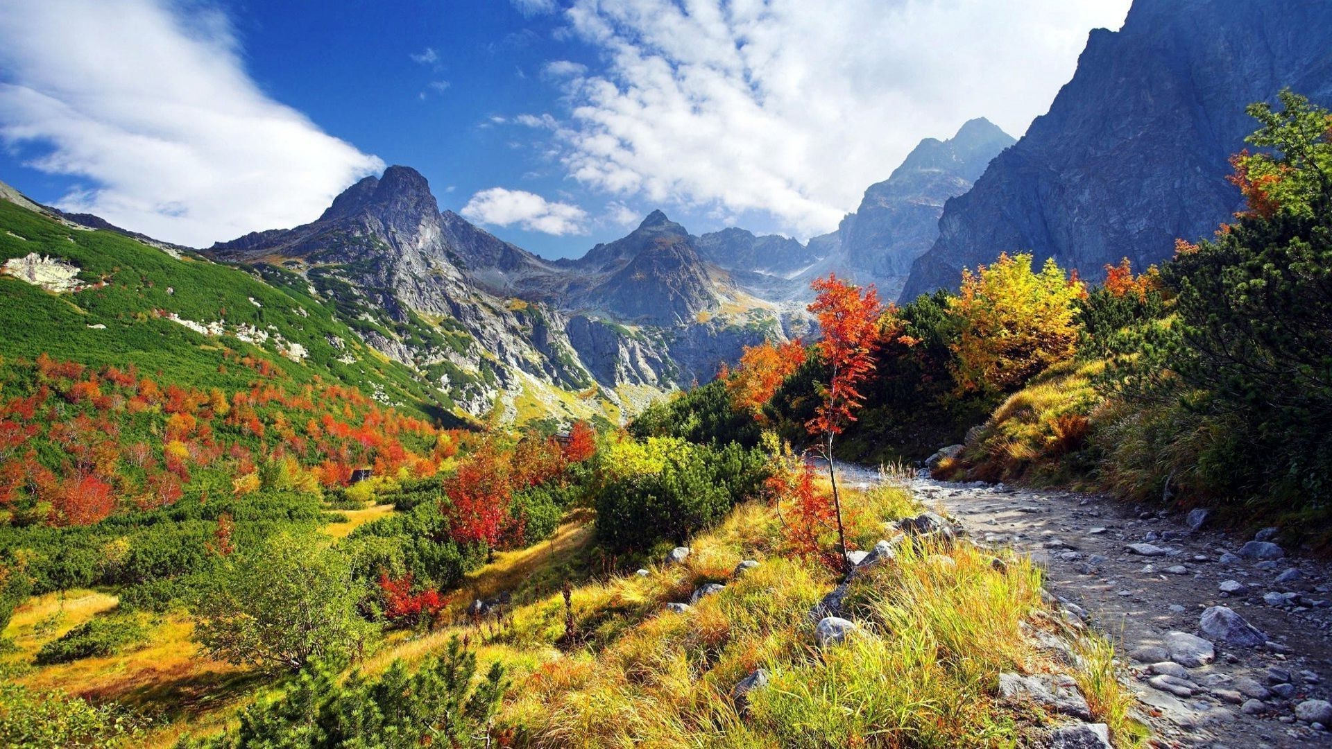 HD Fall Mountain Wallpaper
