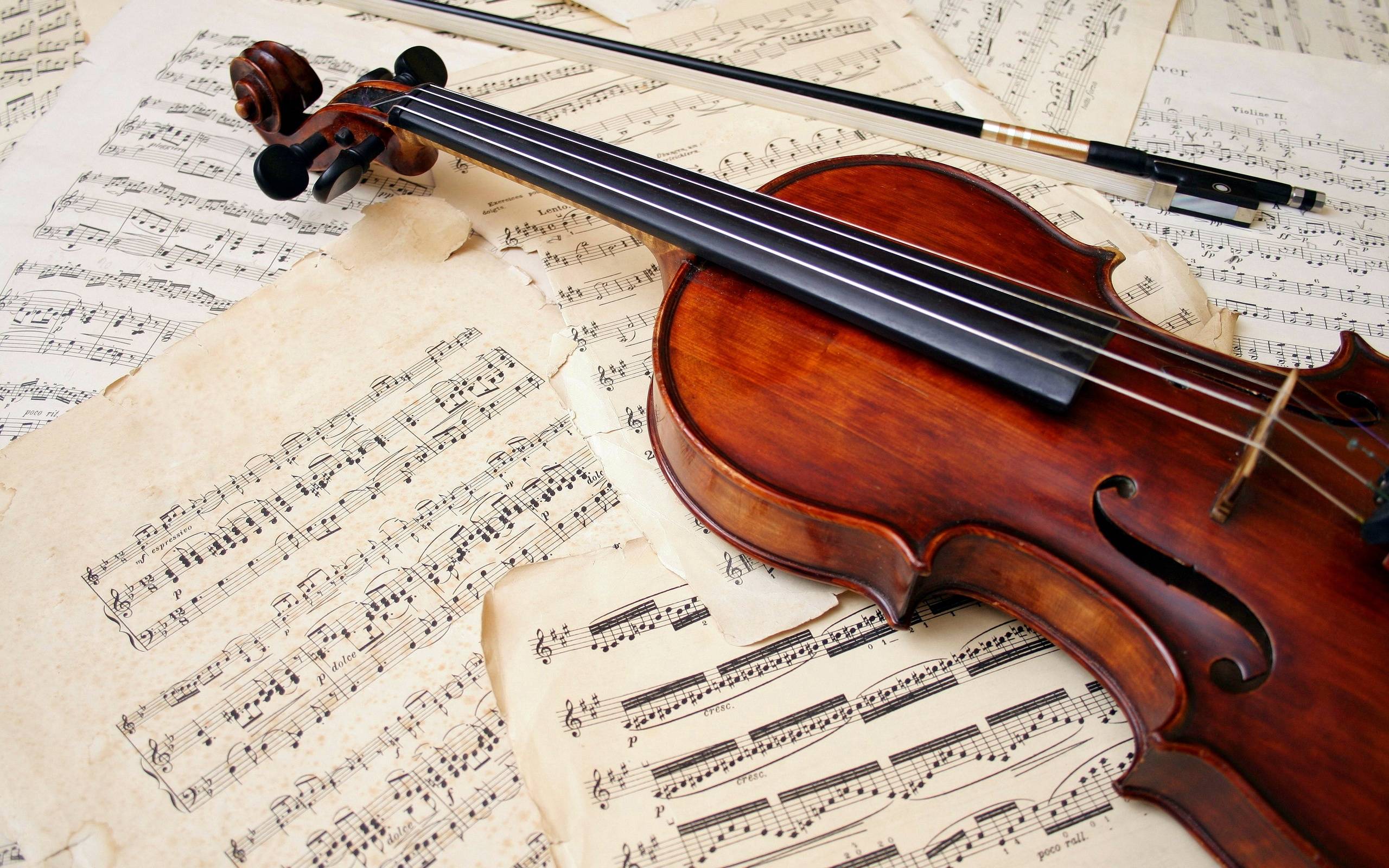 Violin Wallpaper