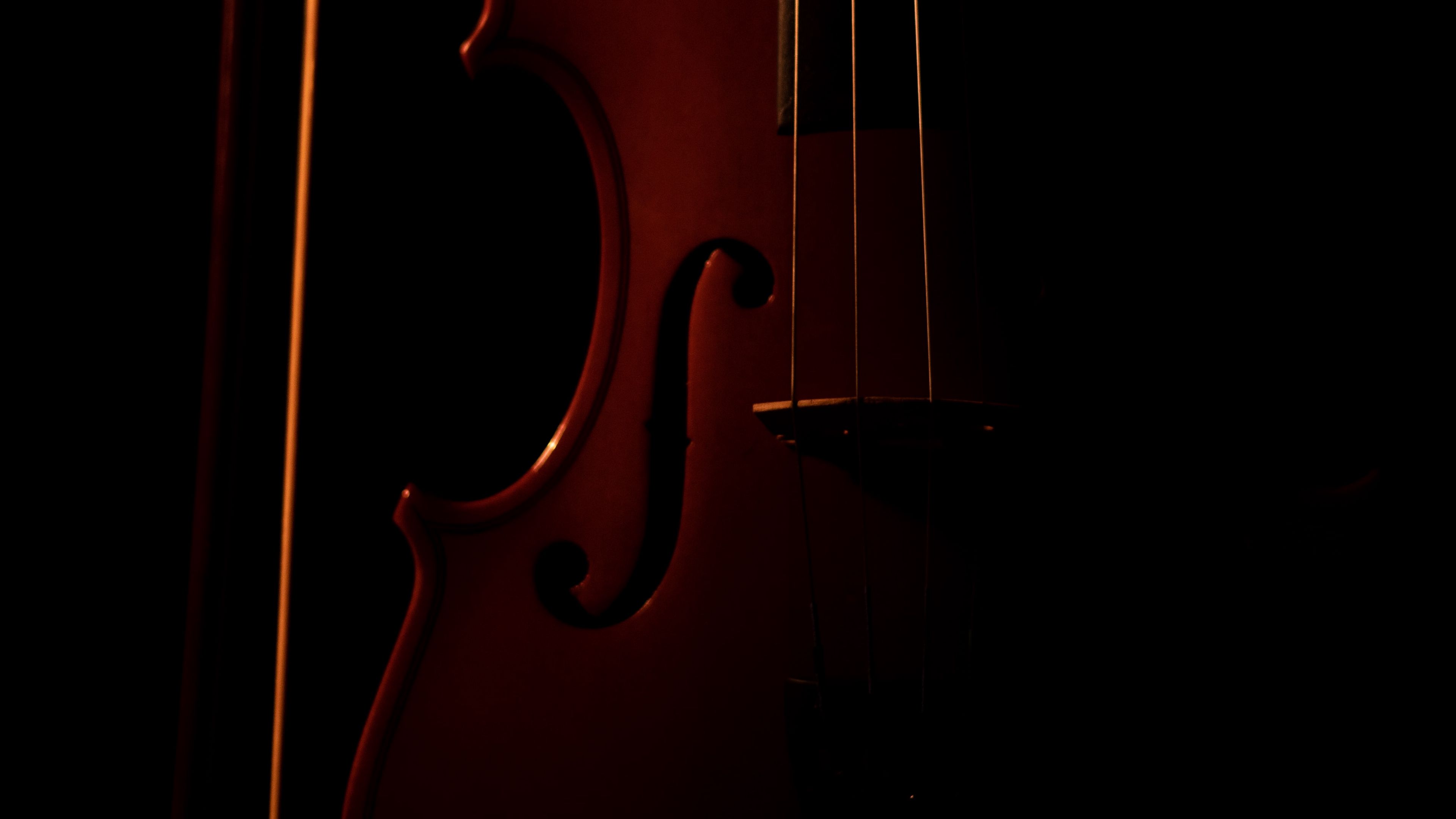 Wallpaper / violin, musical instrument, dark, 4k free download