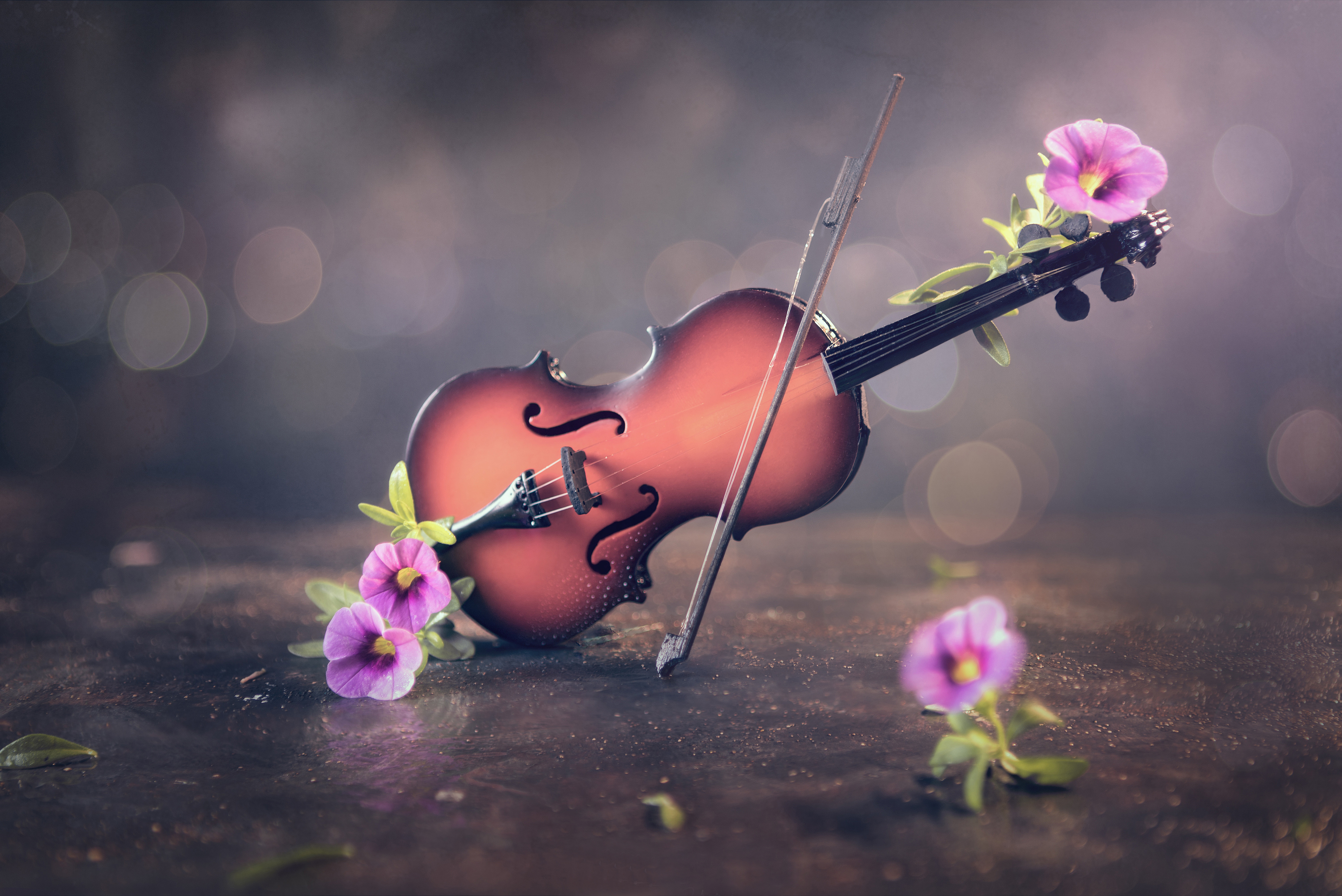 Violin 4K, Flower, Instrument Gallery HD Wallpaper