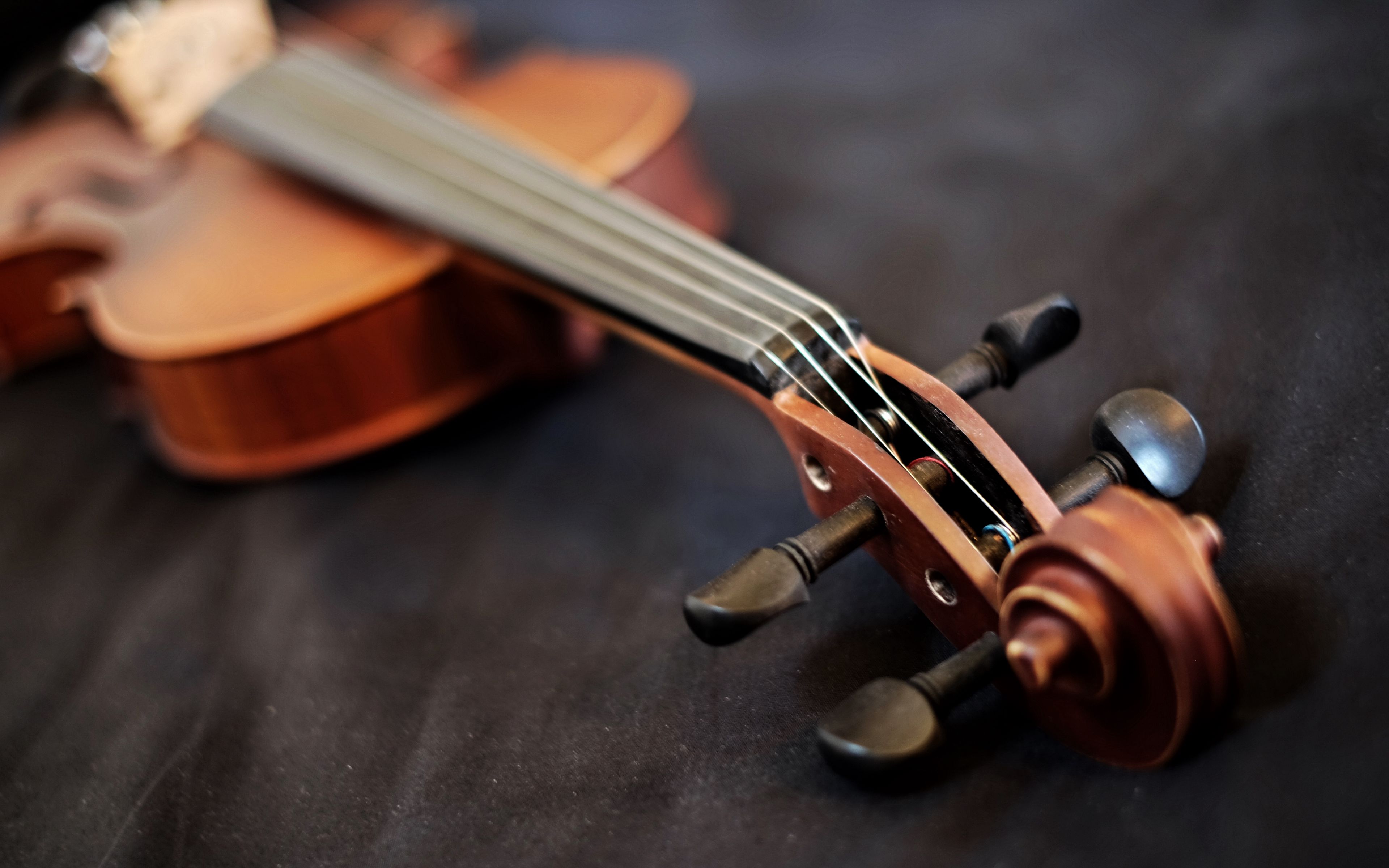 Violin strings Wallpaper 4k Ultra HD