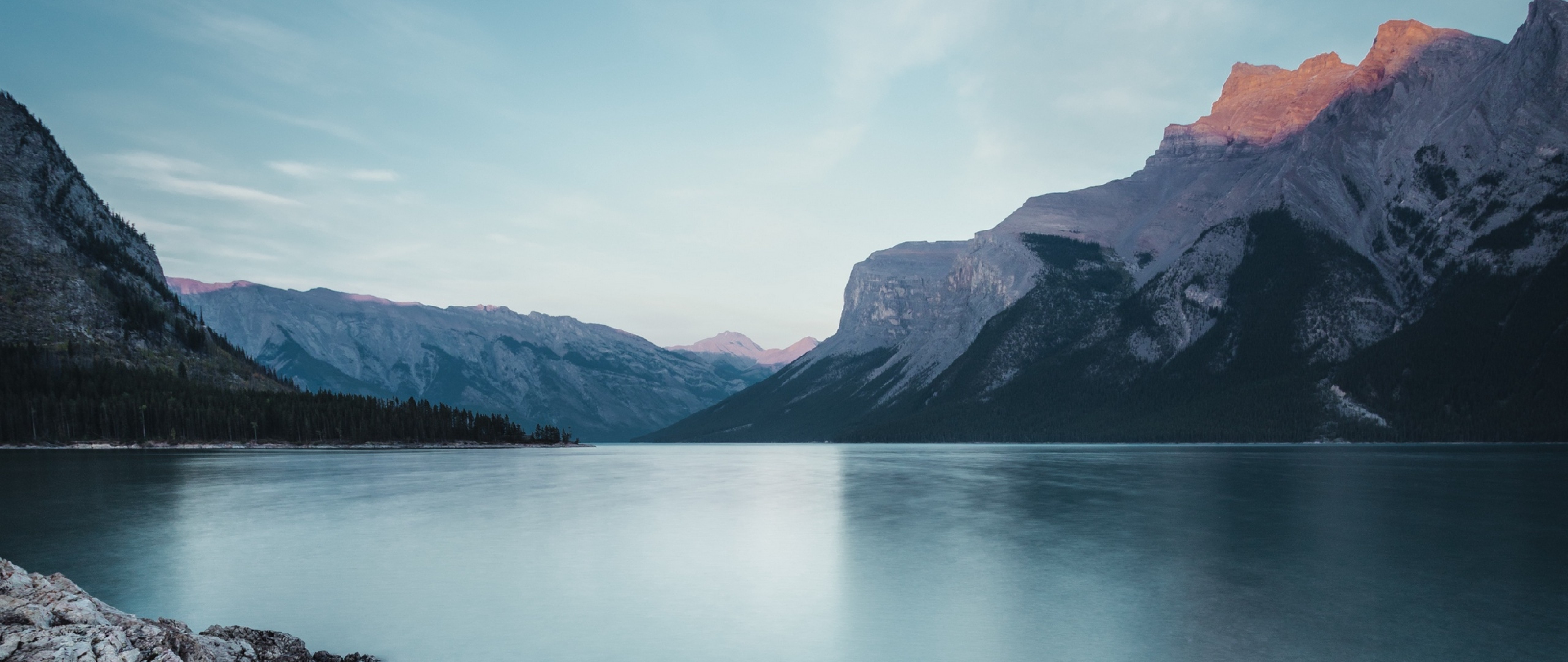 Wildlife HD Wallpaper 4K Ultra HD Wide TV