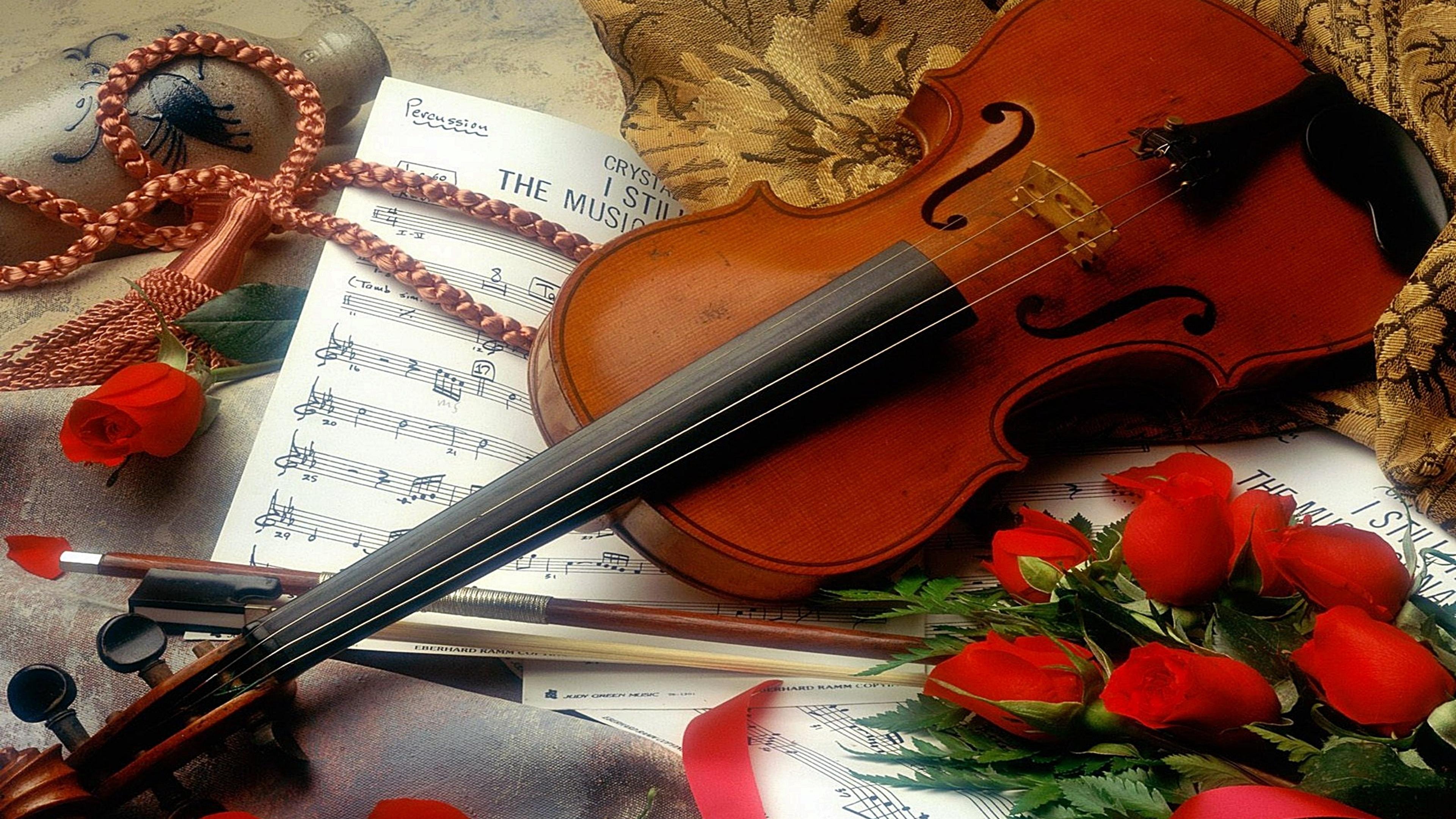Violin, red roses and music notebook