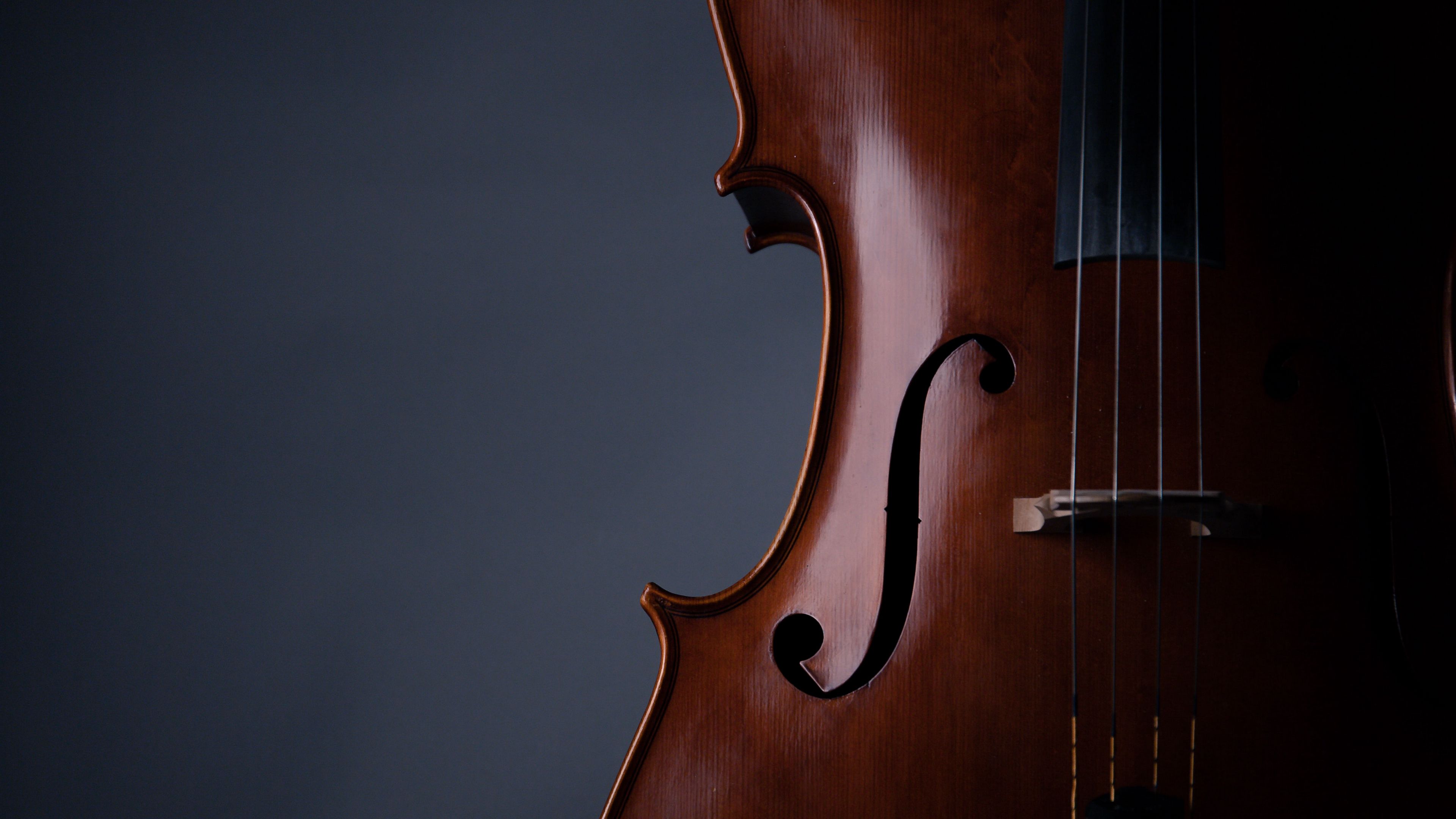 Wallpaper / violin, musical instrument, music, 4k free download