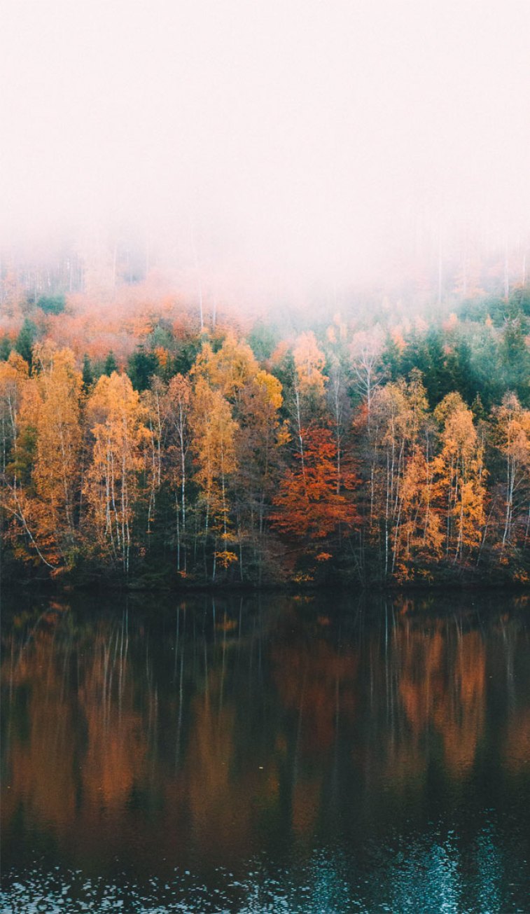 Spectacular seasonal colours leaves at Lake Wallpaper