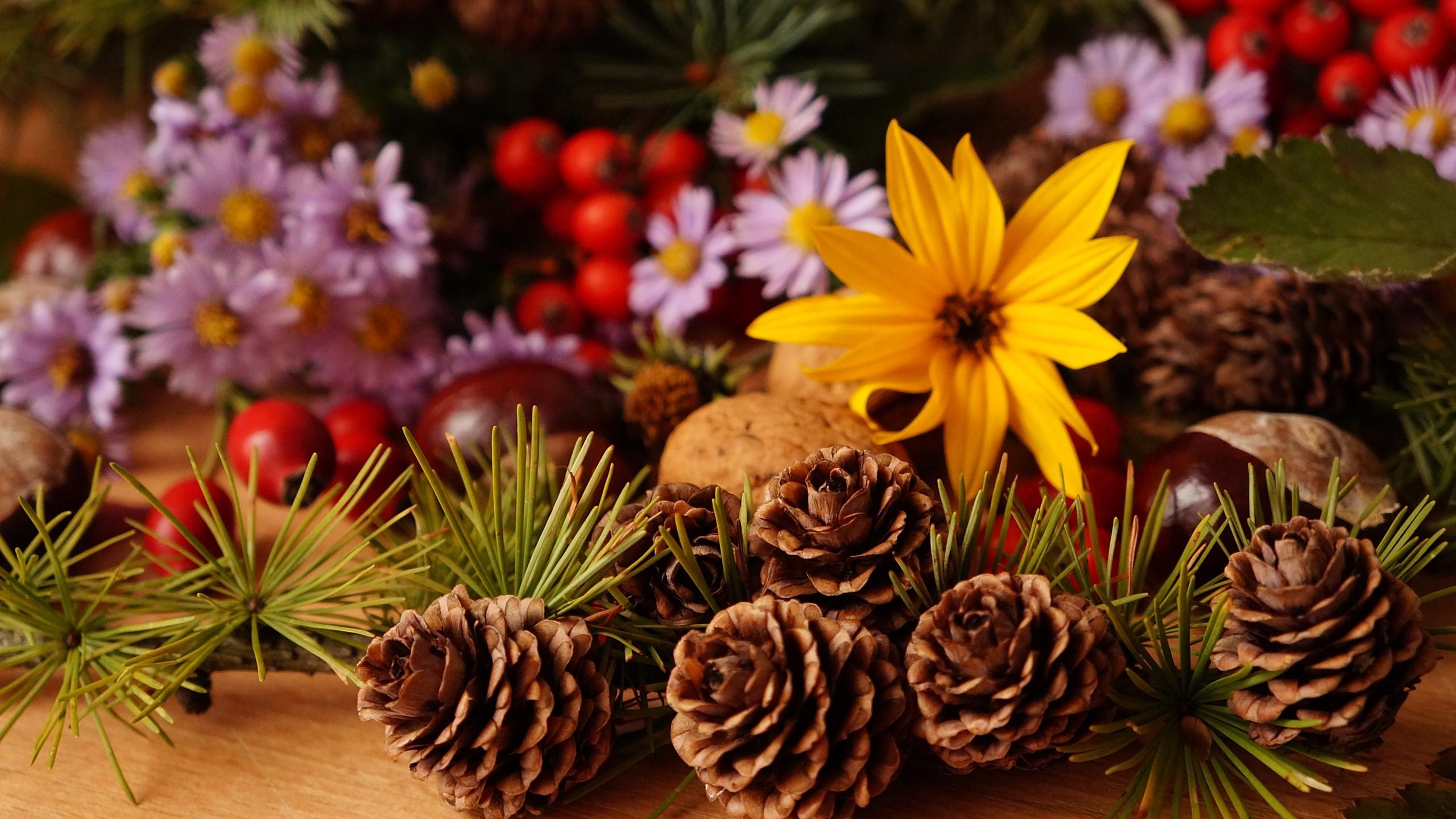 Pinecones and Autumn flowers