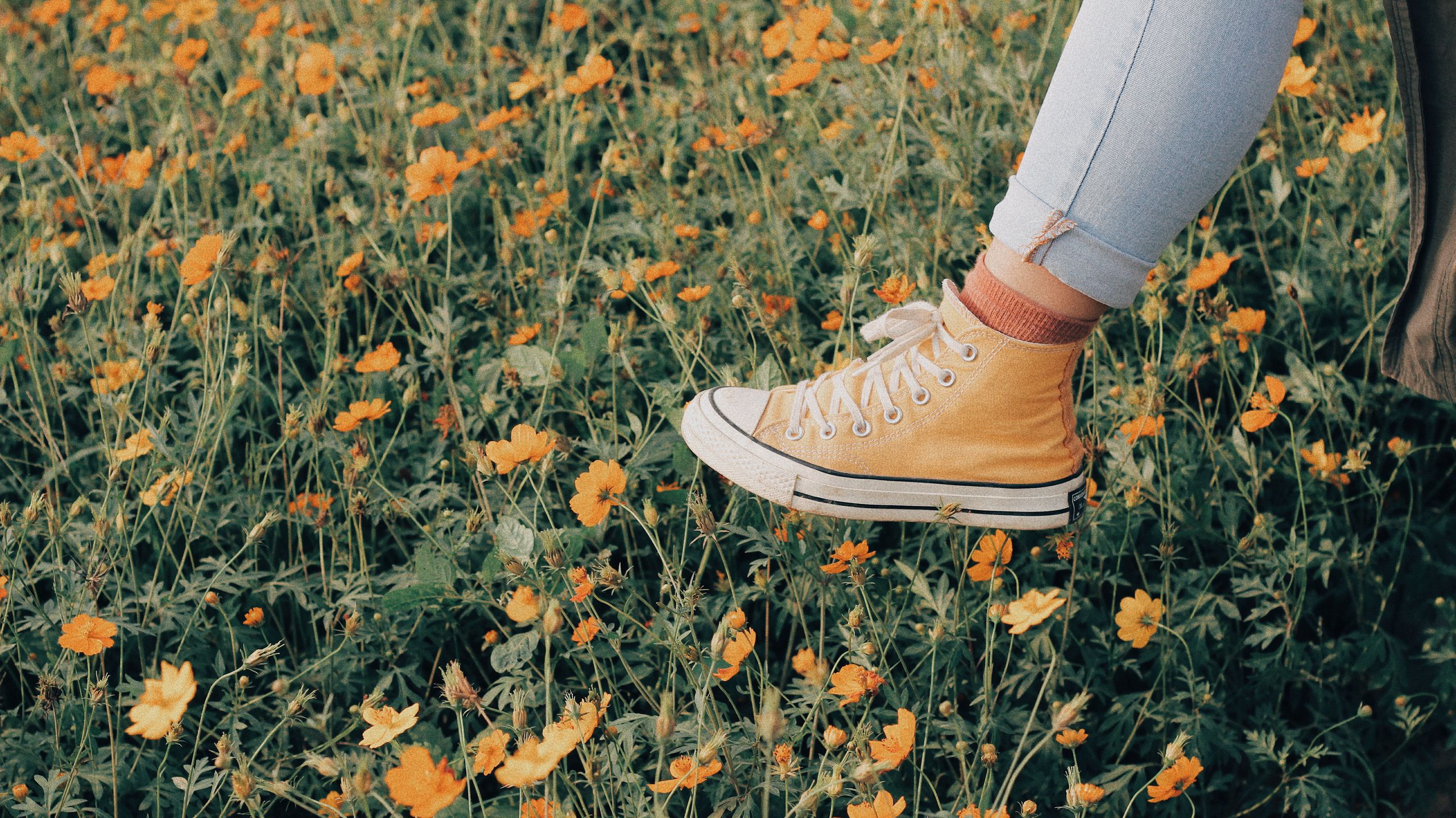 Download wallpaper 2560x1440 sneakers, flowers, walk, summer widescreen 16:9 HD background