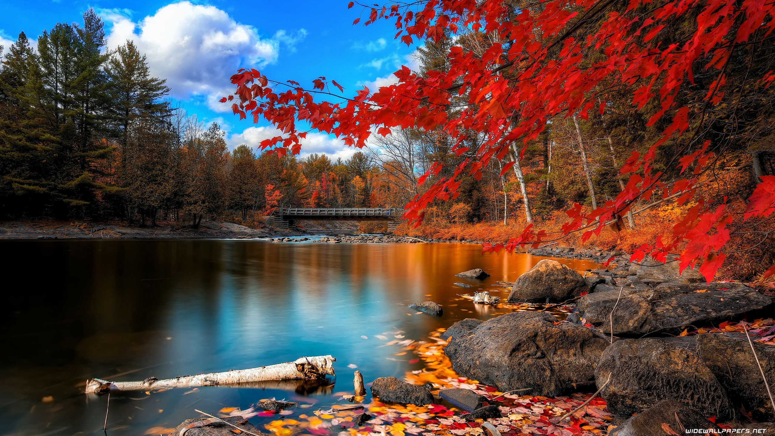 Autumn desktop wallpaper 4K Ultra HD