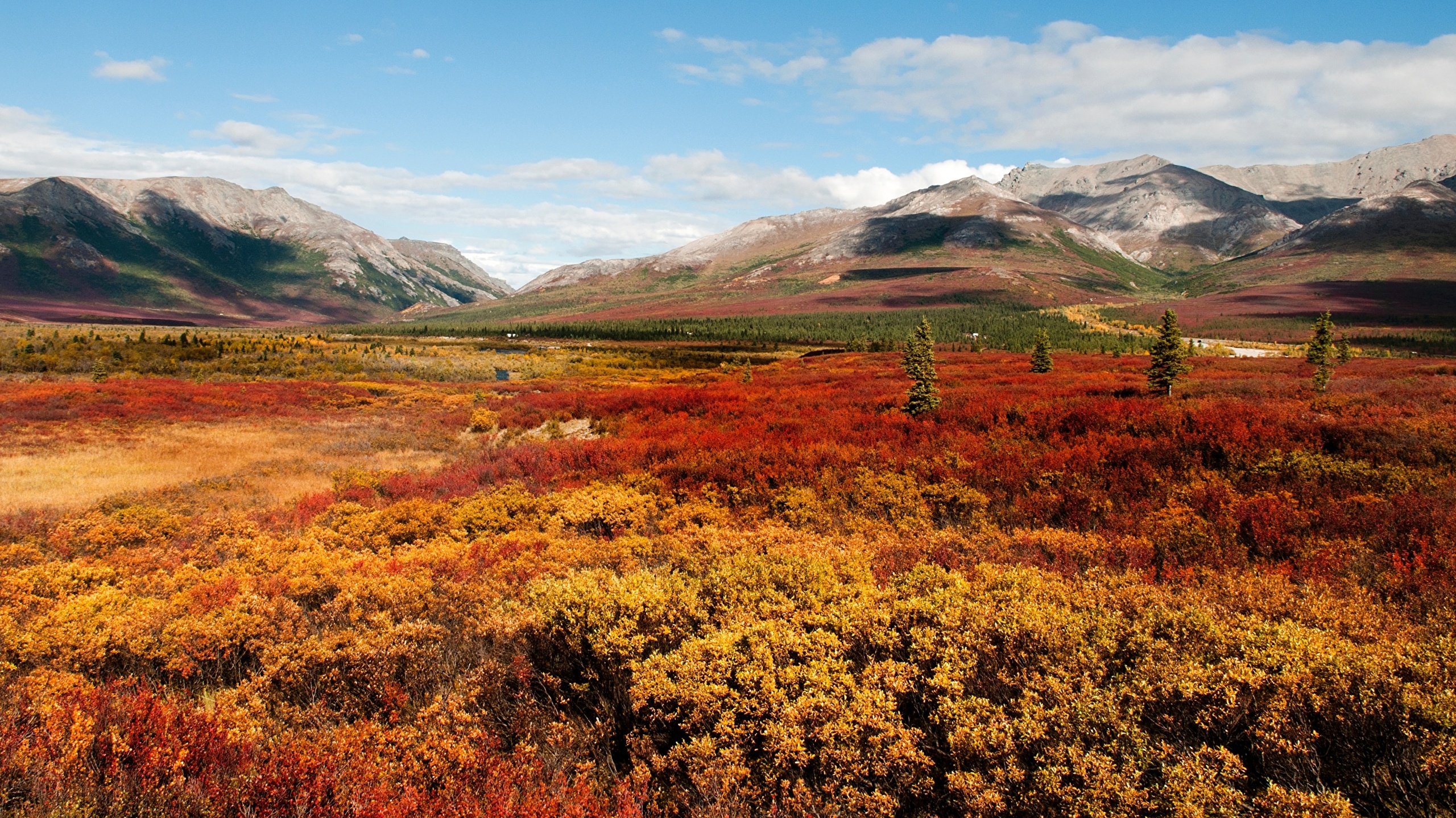 Wallpaper Alaska USA Denali National Park Nature Autumn 2560x1440